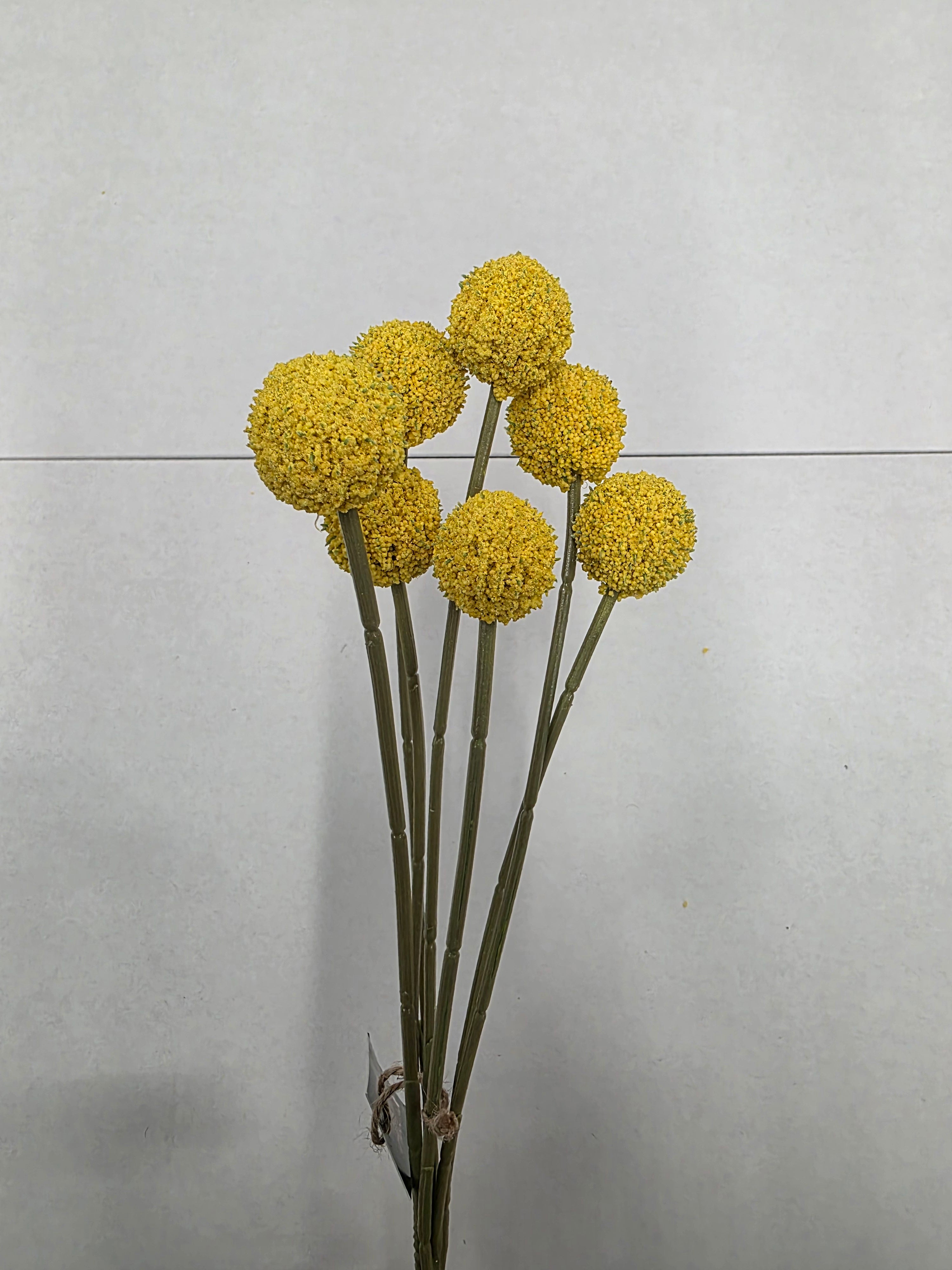 Artificial Craspedia Yellow 60cm