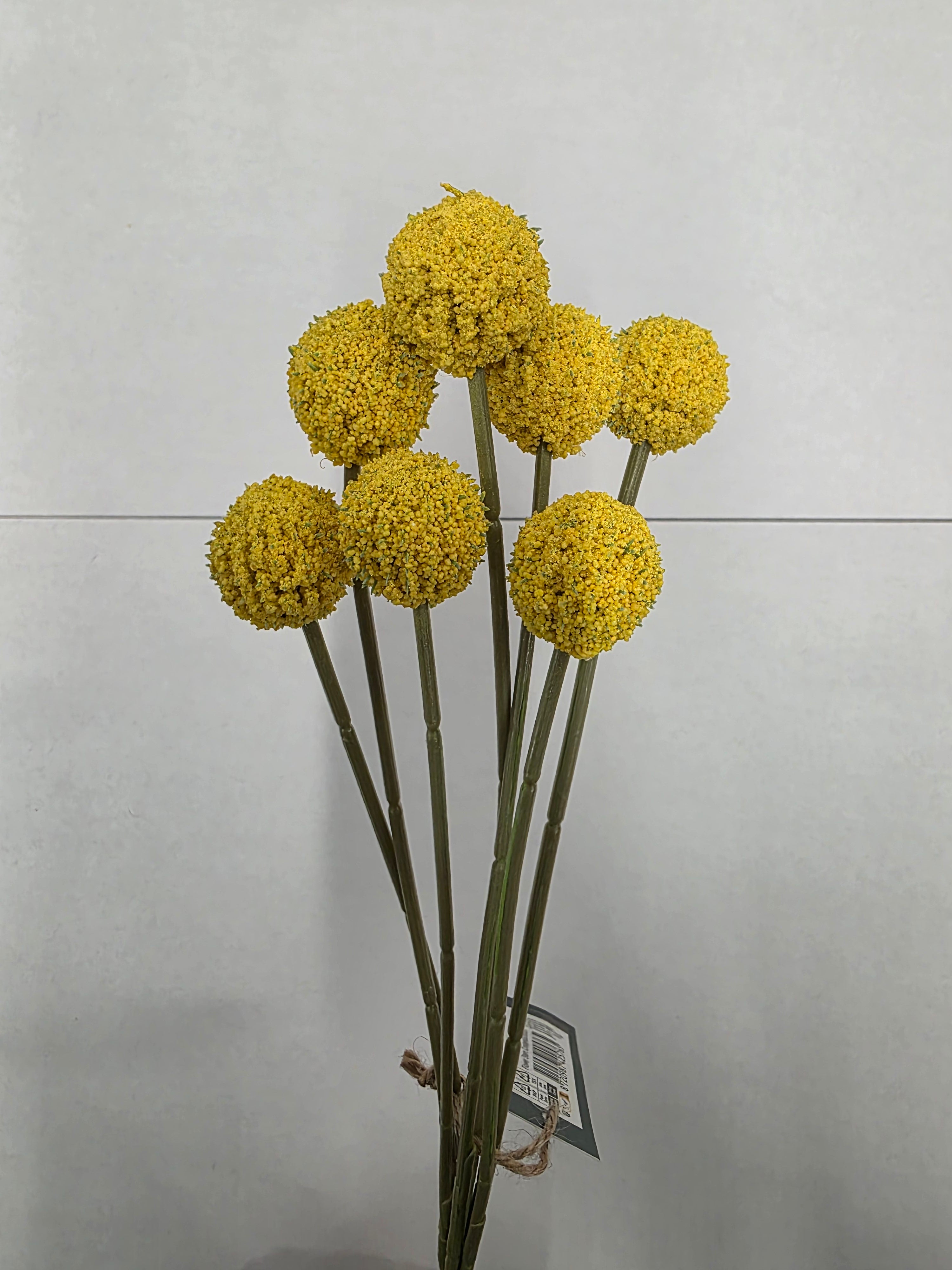 Artificial Craspedia Yellow 60cm