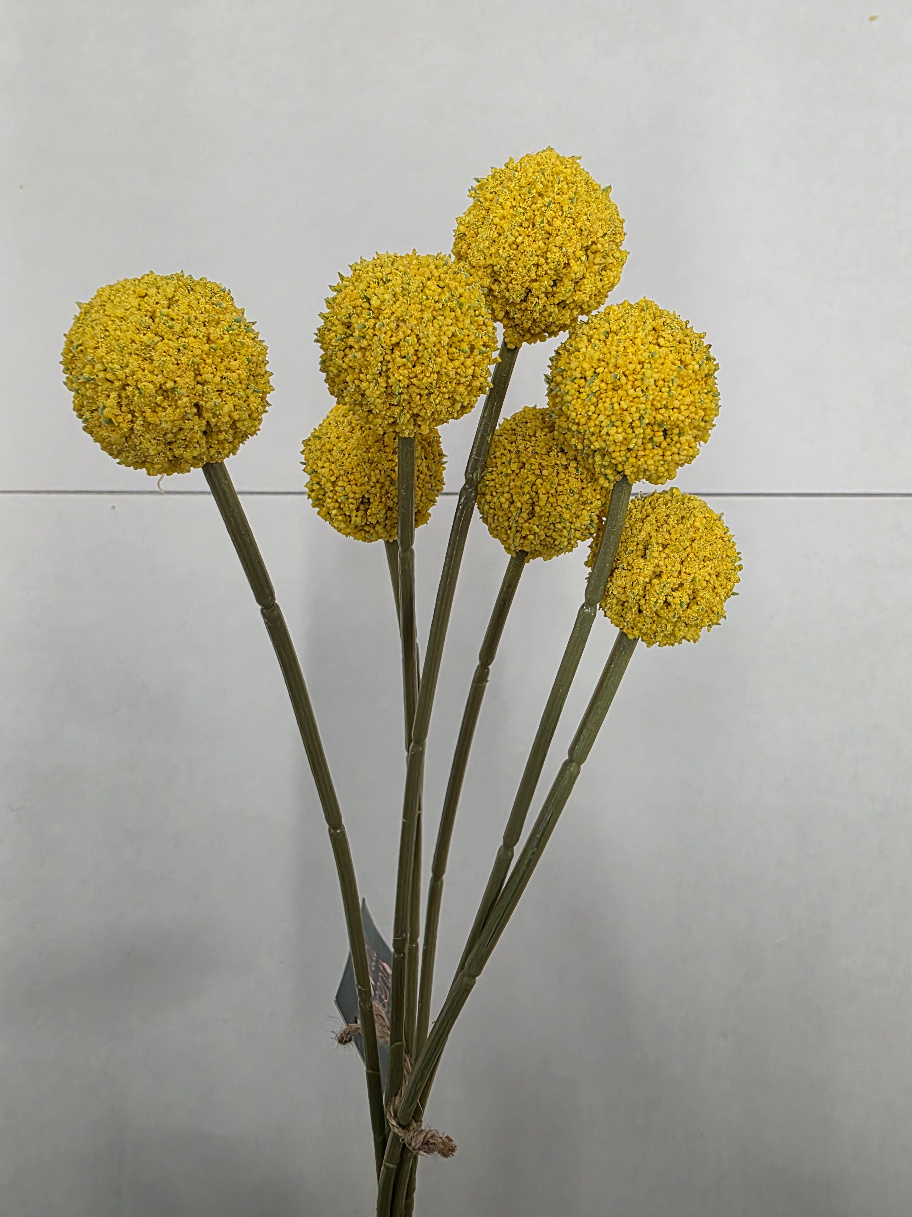 Artificial Craspedia Yellow 60cm