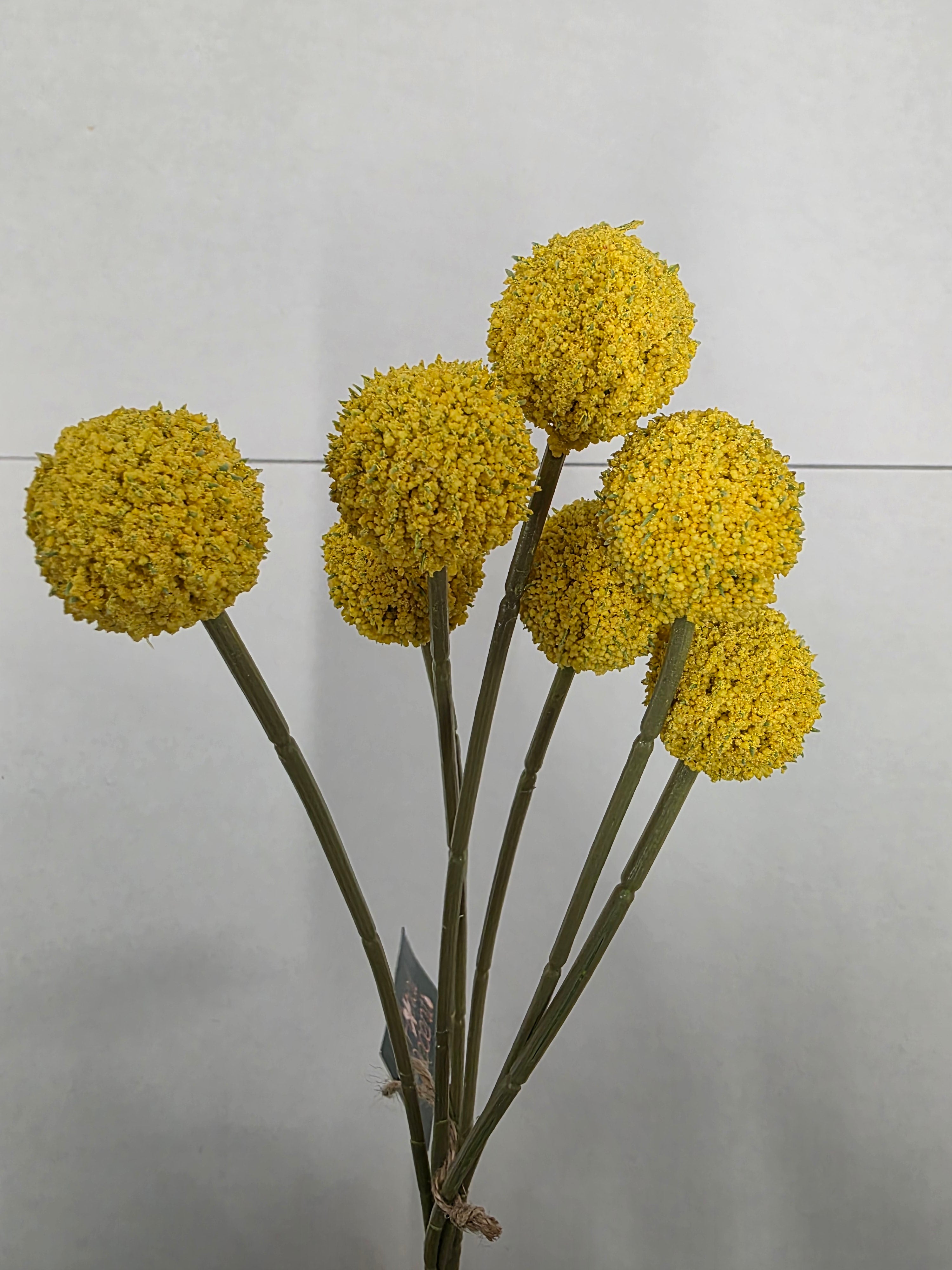 Artificial Craspedia Yellow 60cm