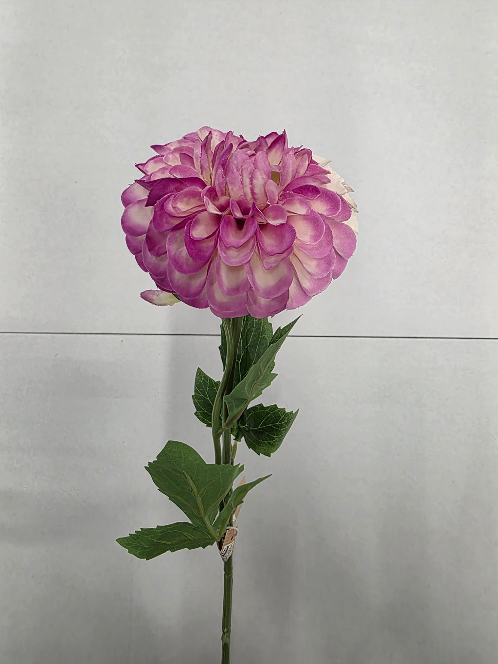 Artificial Dahlia Pink White 59cm