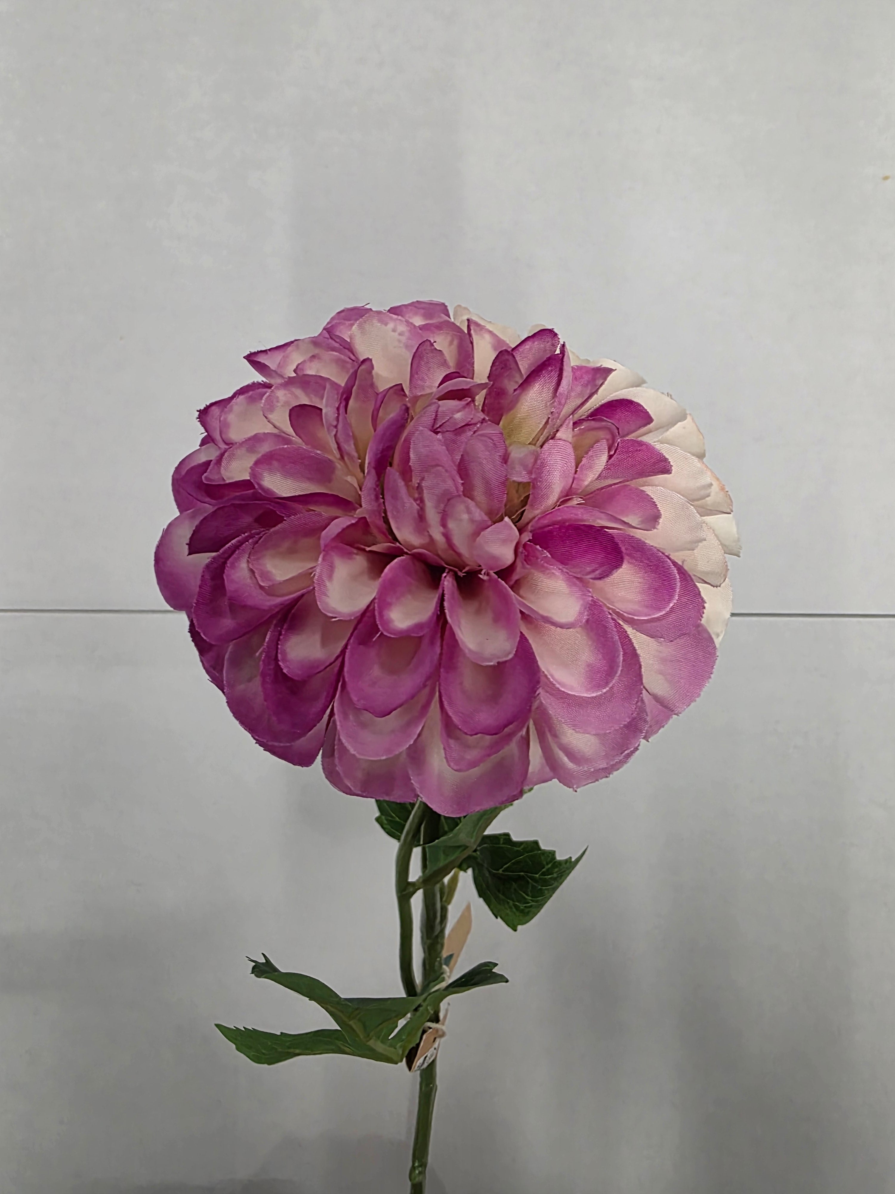Artificial Dahlia Pink White 59cm