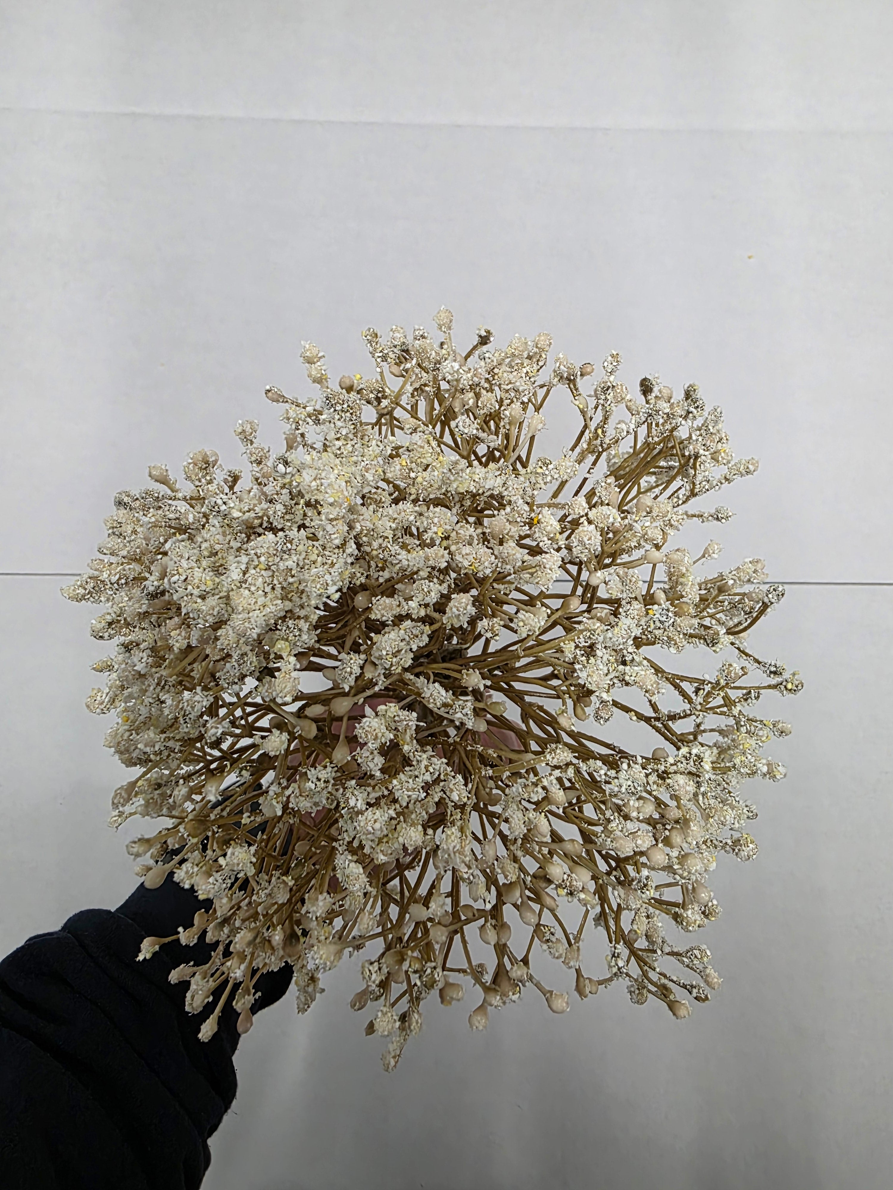 Artificial Gypsophilia Bush Ivory 32cm (PACK OF 2)