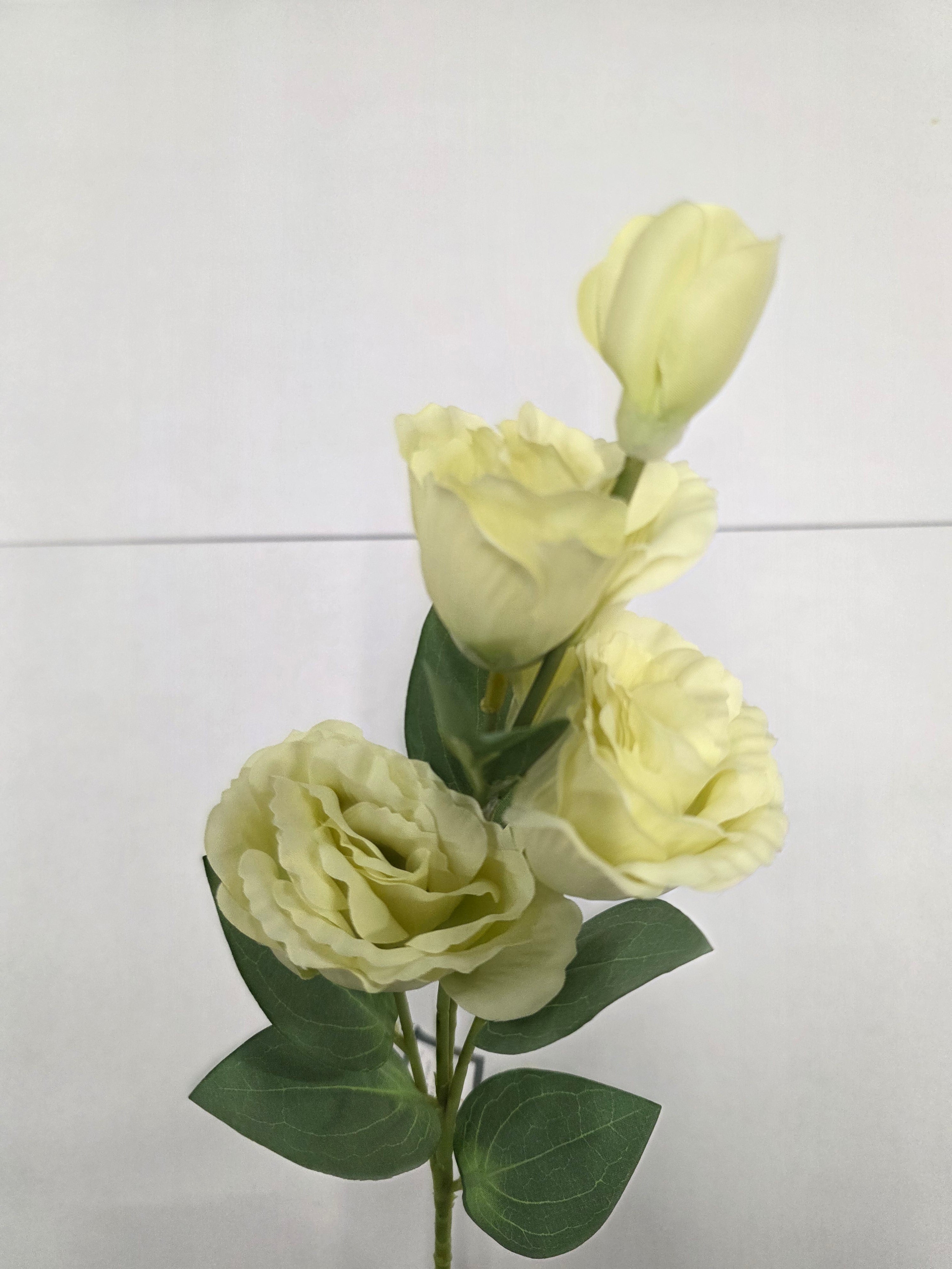 Artificial Lisianthus Cream 70cm