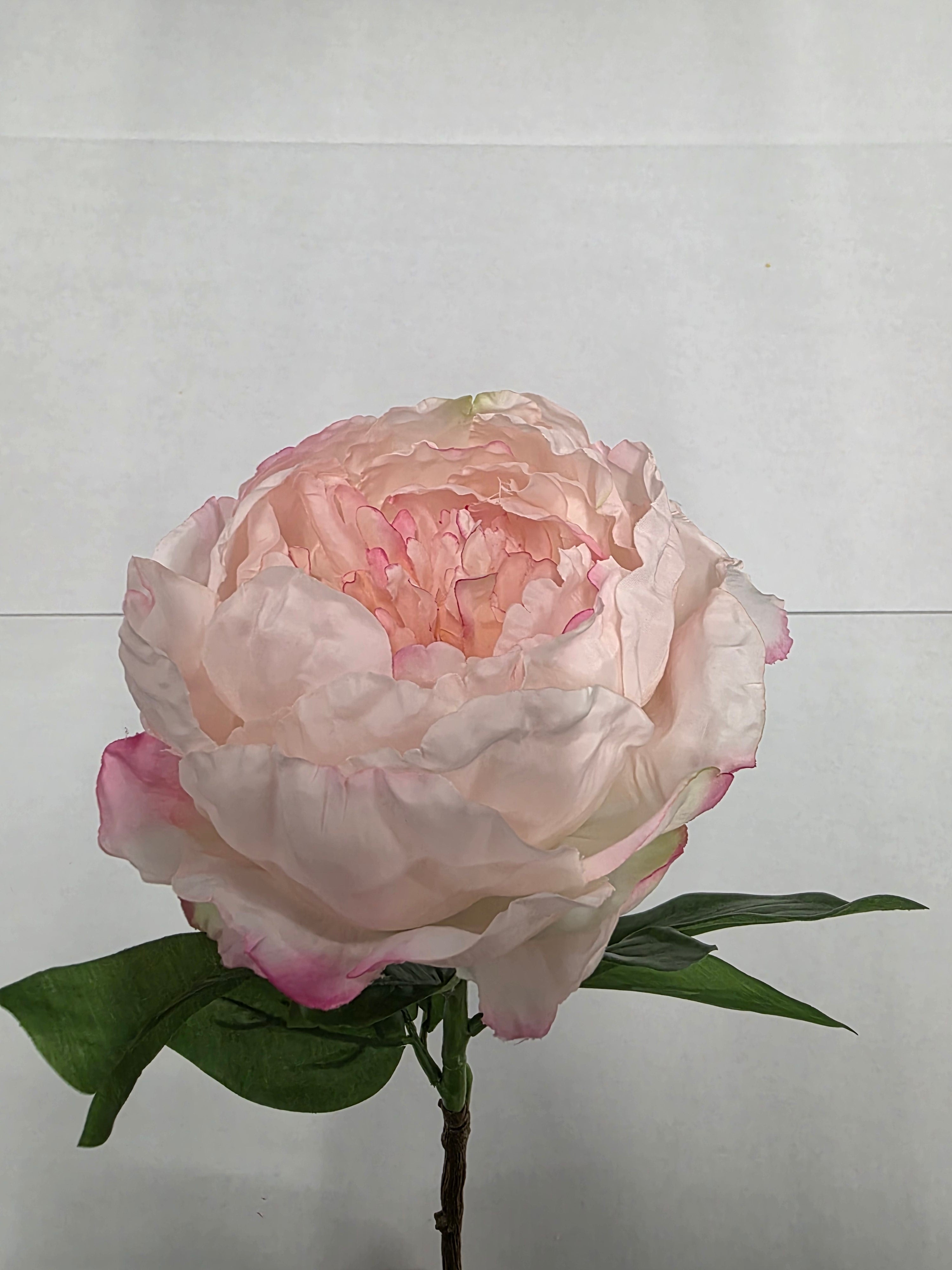 Artificial Peony Light Pink 70cm