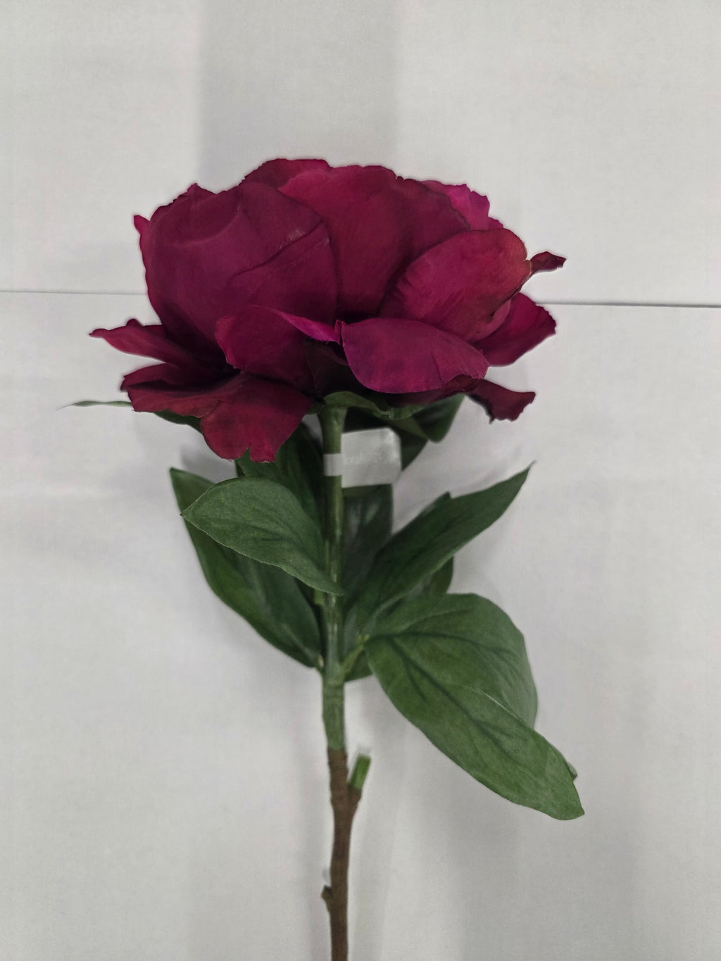 Artificial Peony Plum 70cm