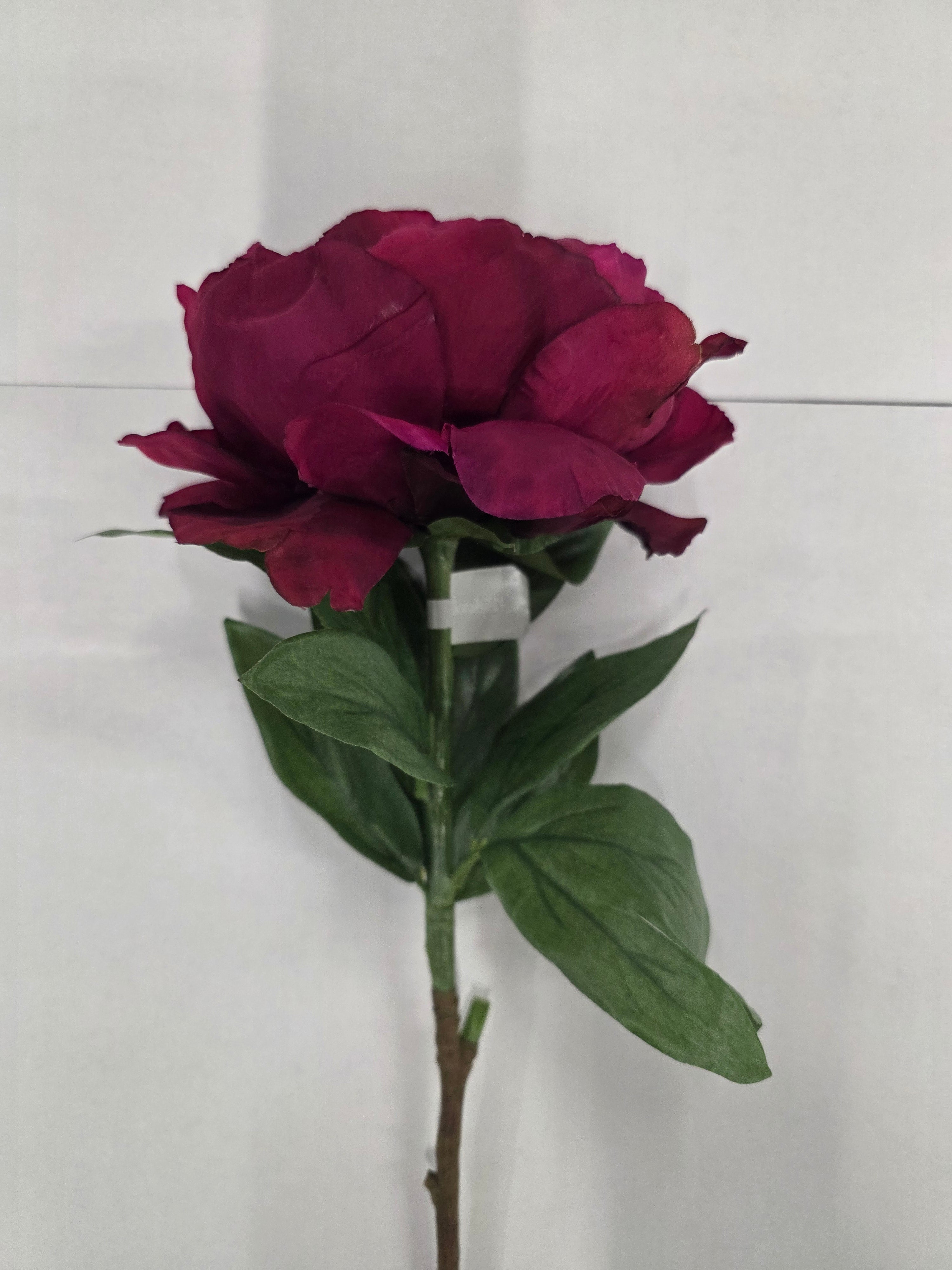 Artificial Peony Plum 70cm