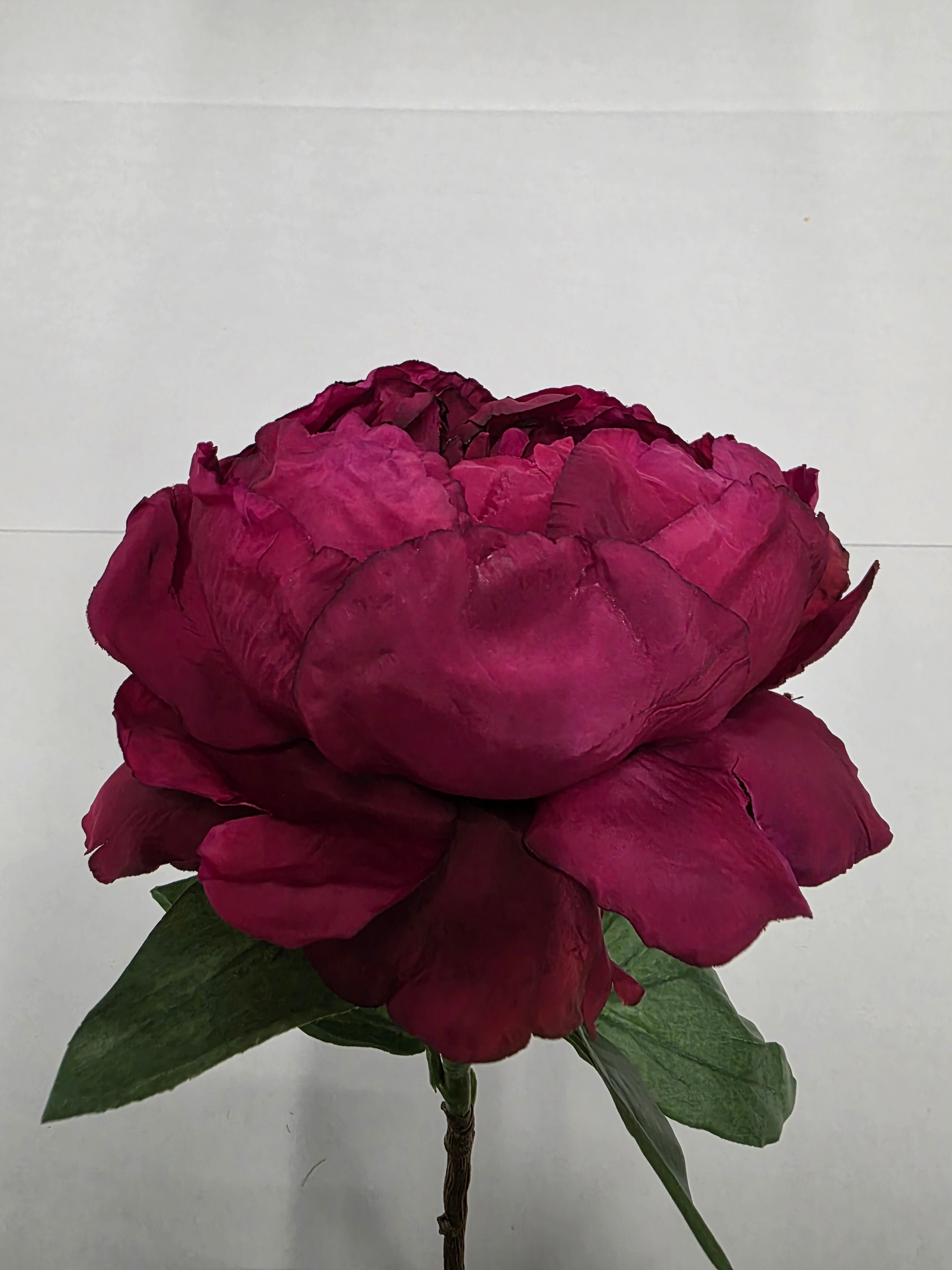 Artificial Peony Plum 70cm