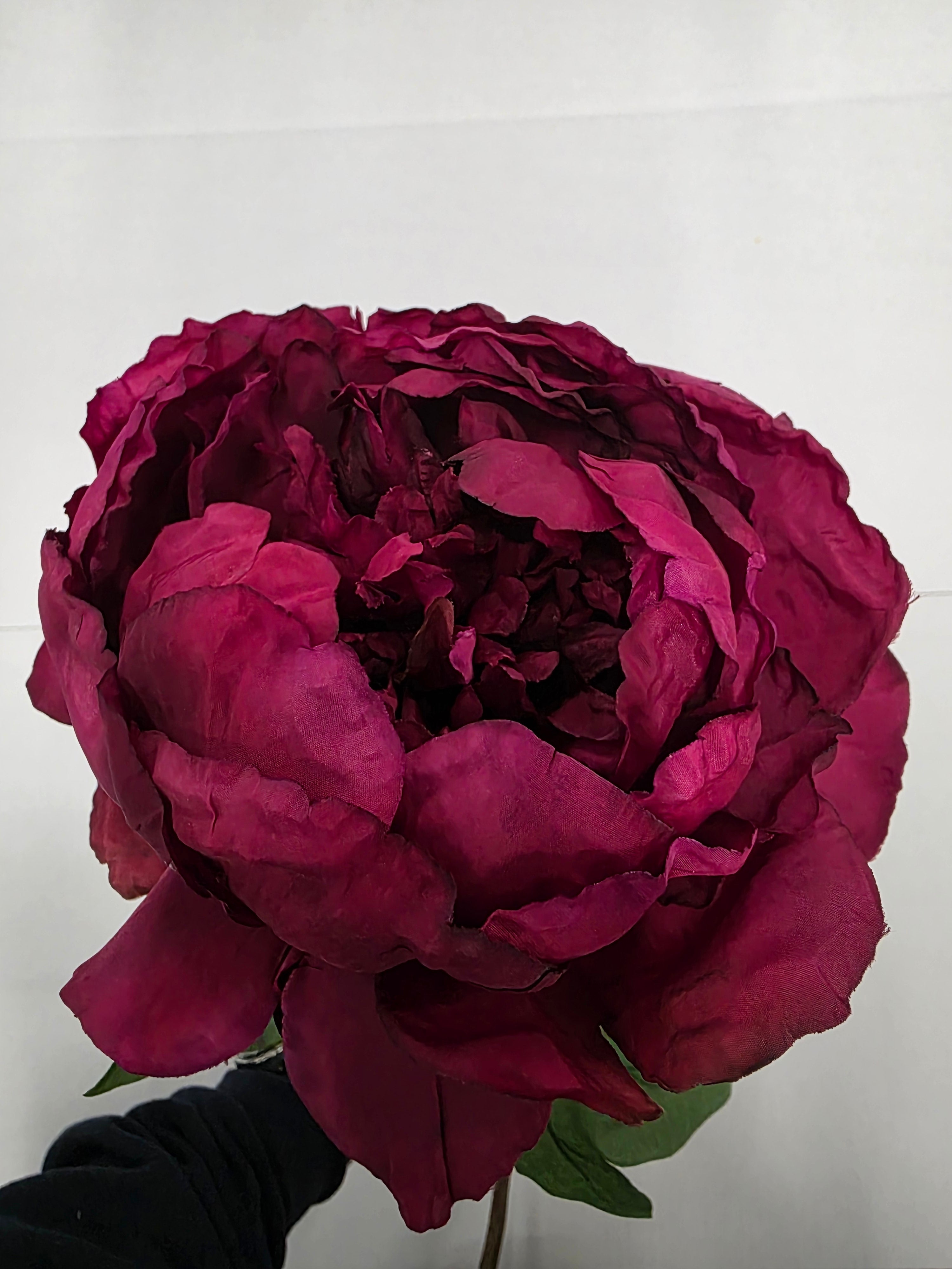 Artificial Peony Plum 70cm