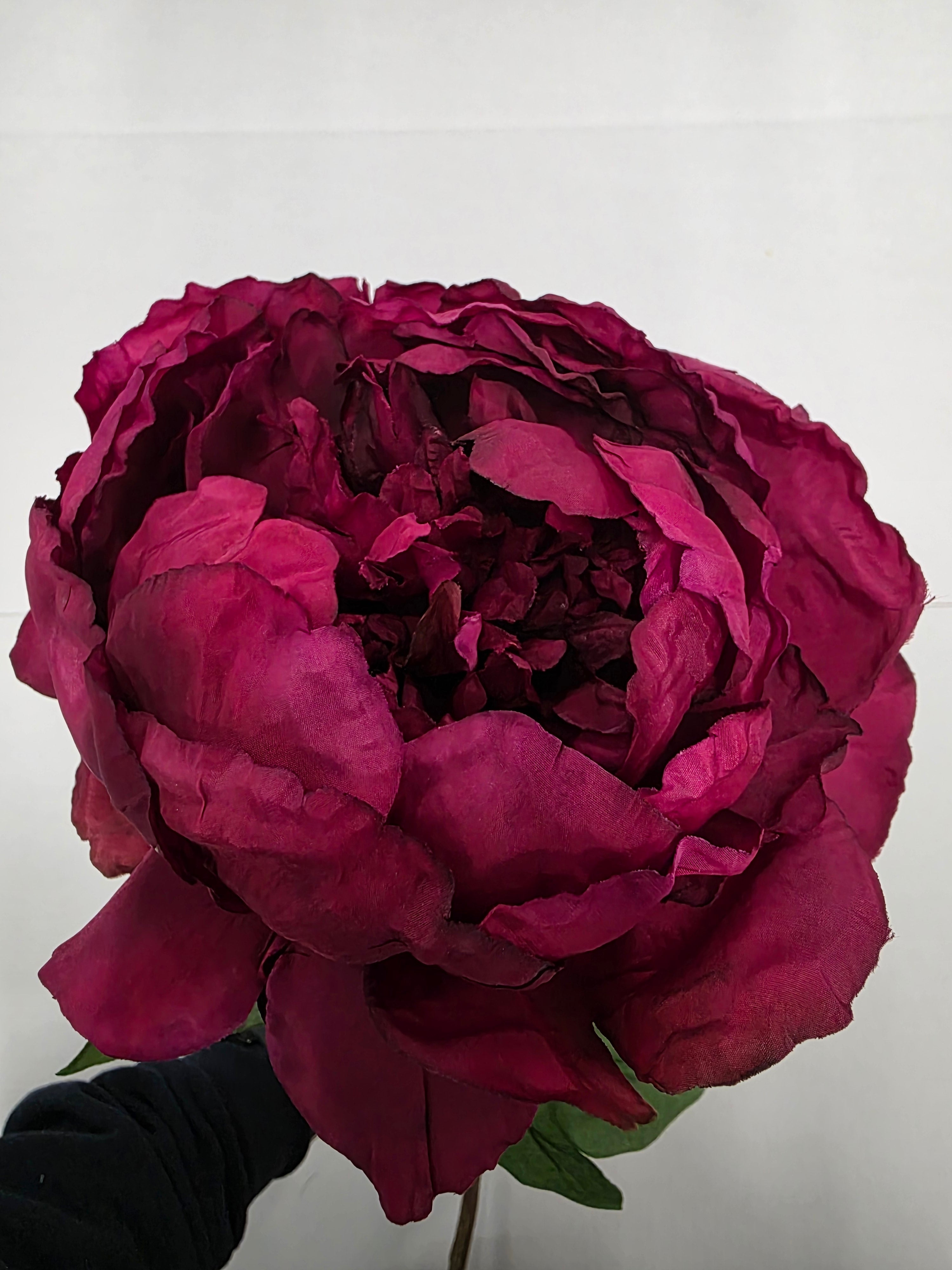 Artificial Peony Plum 70cm