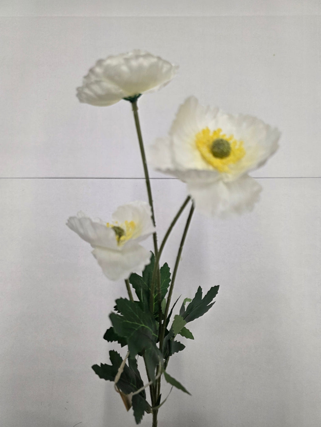 Artificial Poppy White 59cm (Pack of 4)