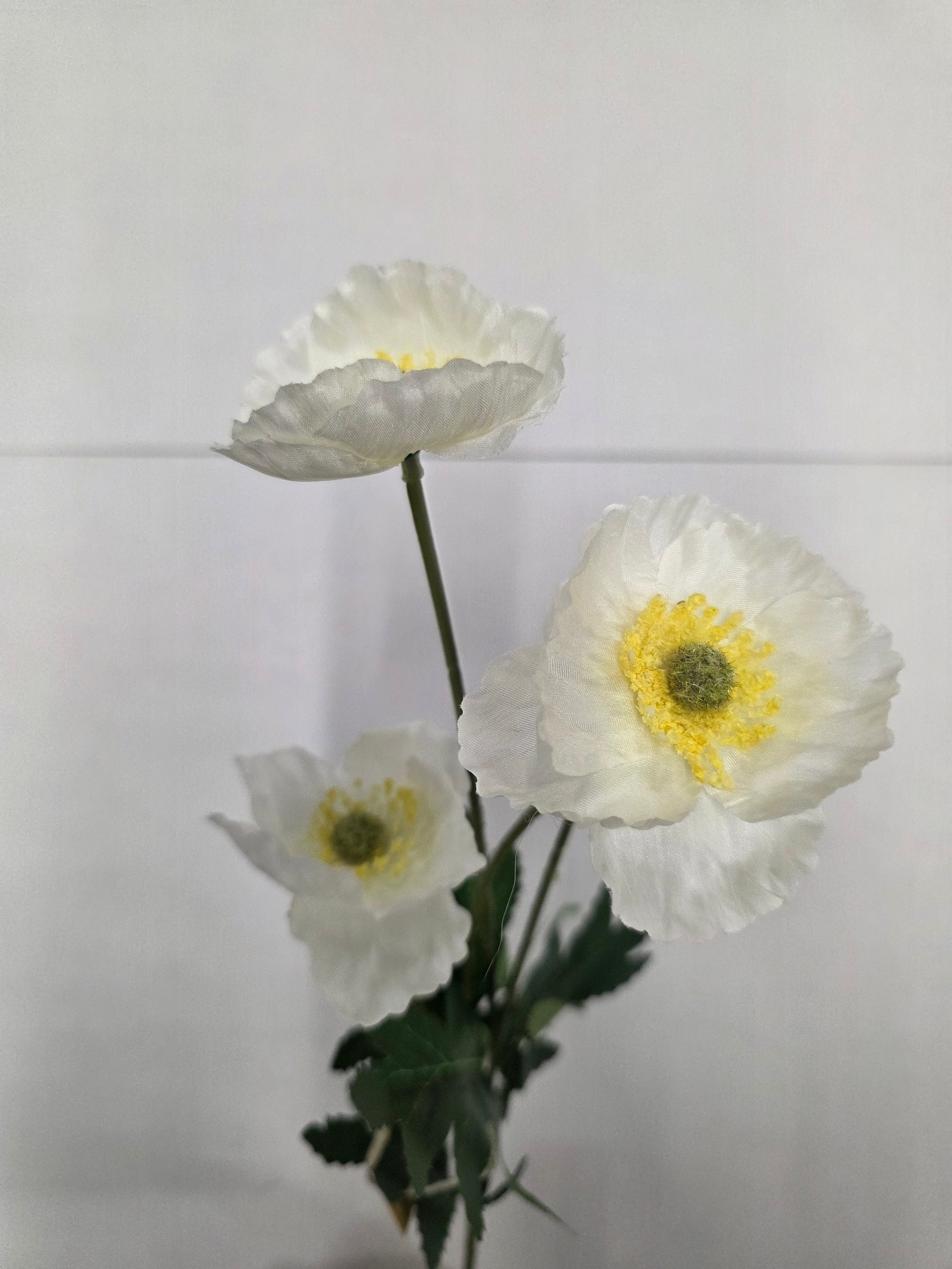 Artificial Poppy White 59cm (Pack of 4)