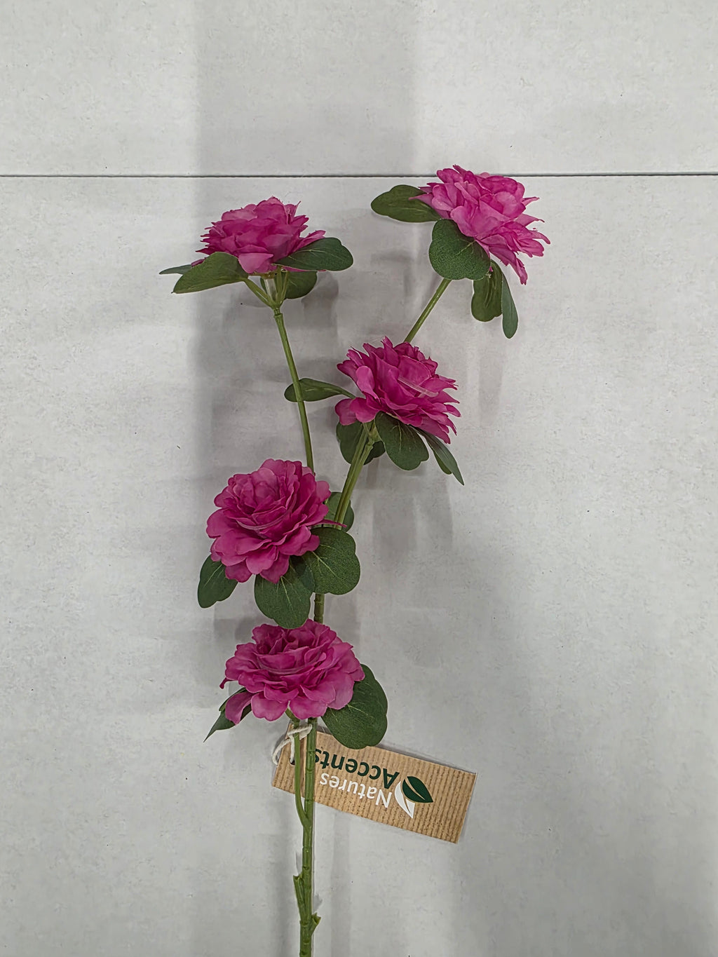 Artificial Ranunculus Fuchsia 70cm