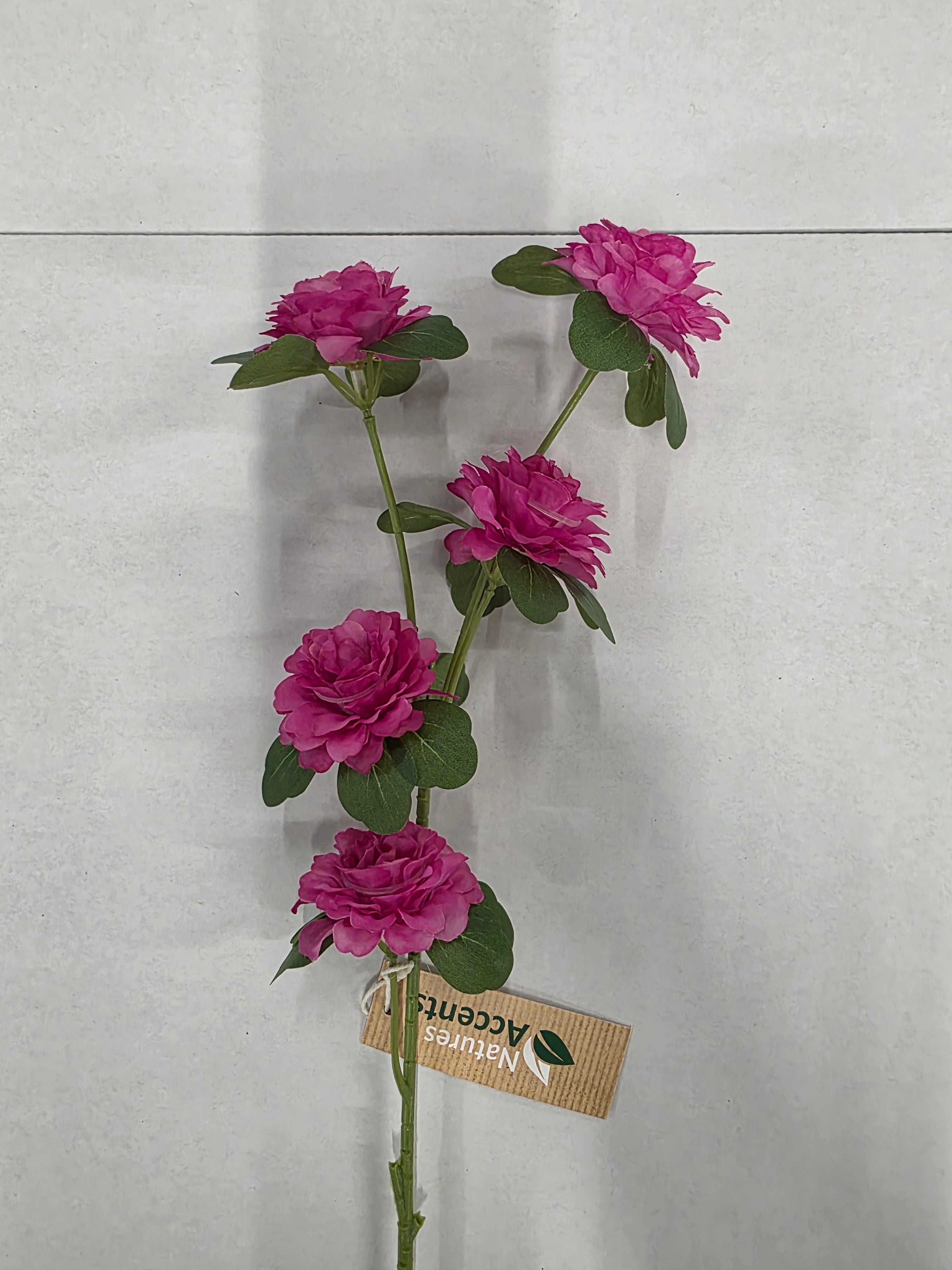 Artificial Ranunculus Fuchsia 70cm