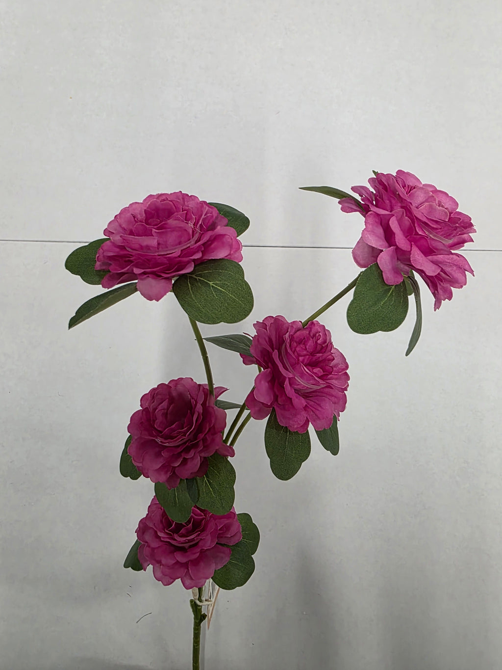 Artificial Ranunculus Fuchsia 70cm