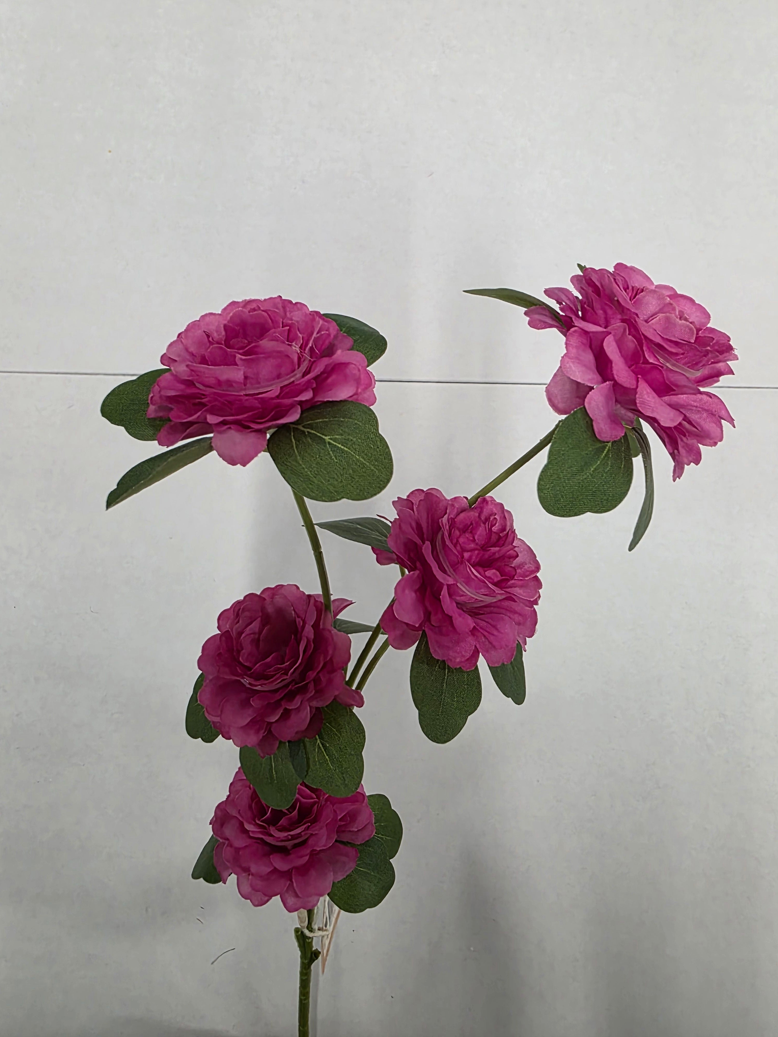 Artificial Ranunculus Fuchsia 70cm