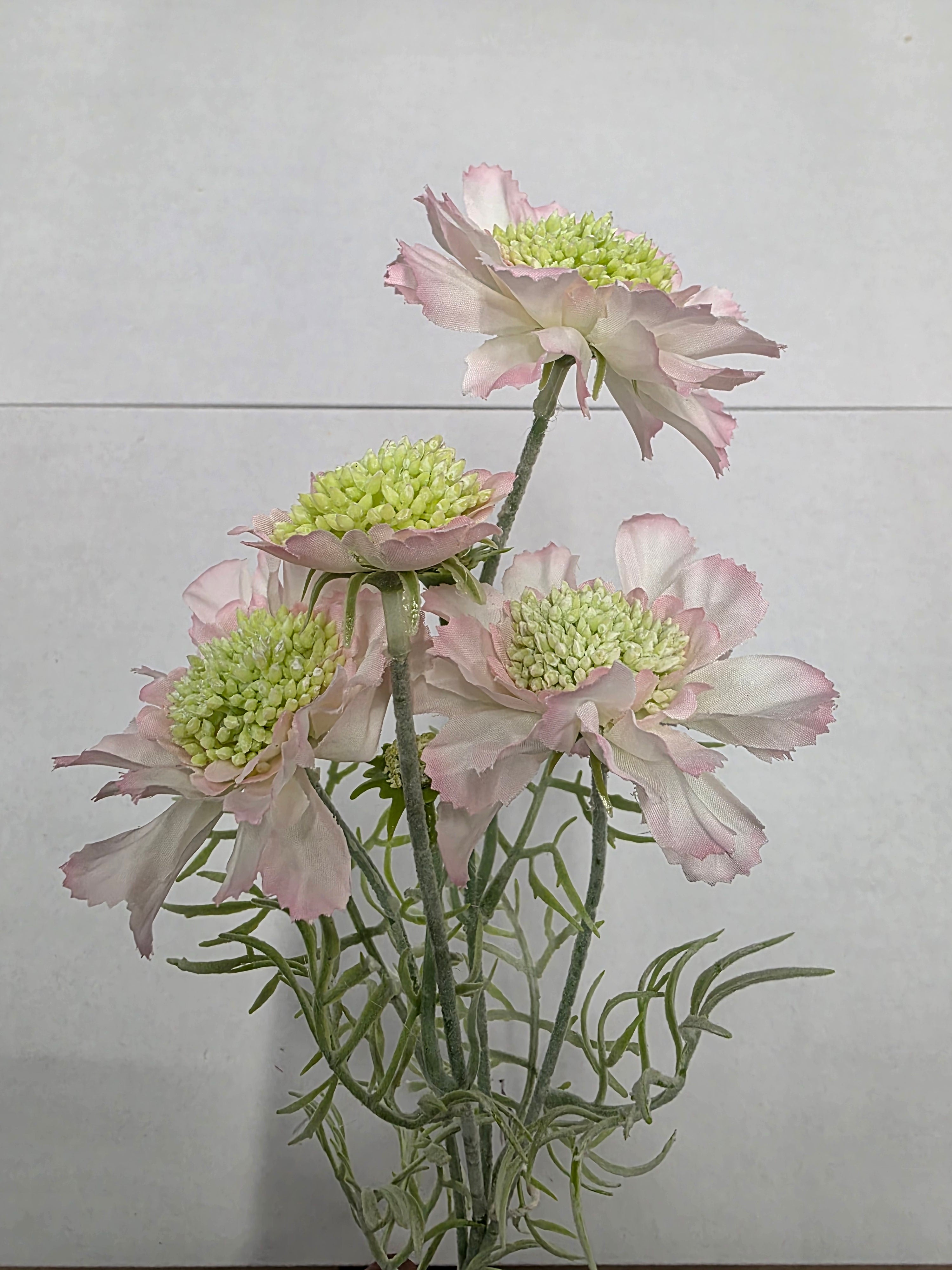 Artificial Scabiosa Light Pink 60cm (Pack of 2)