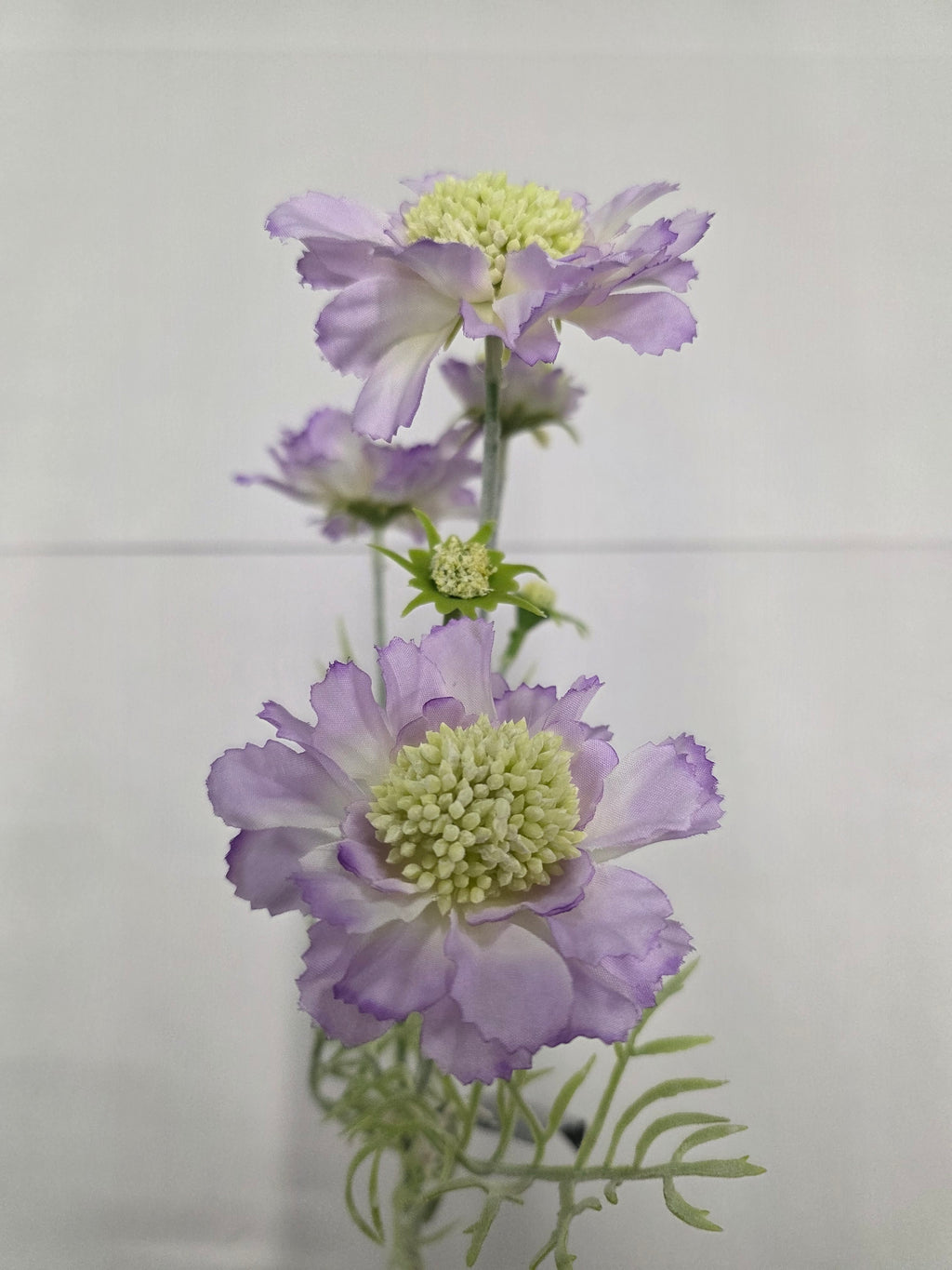 Artificial Scabiosa Lilac 60cm (Pack of 2)