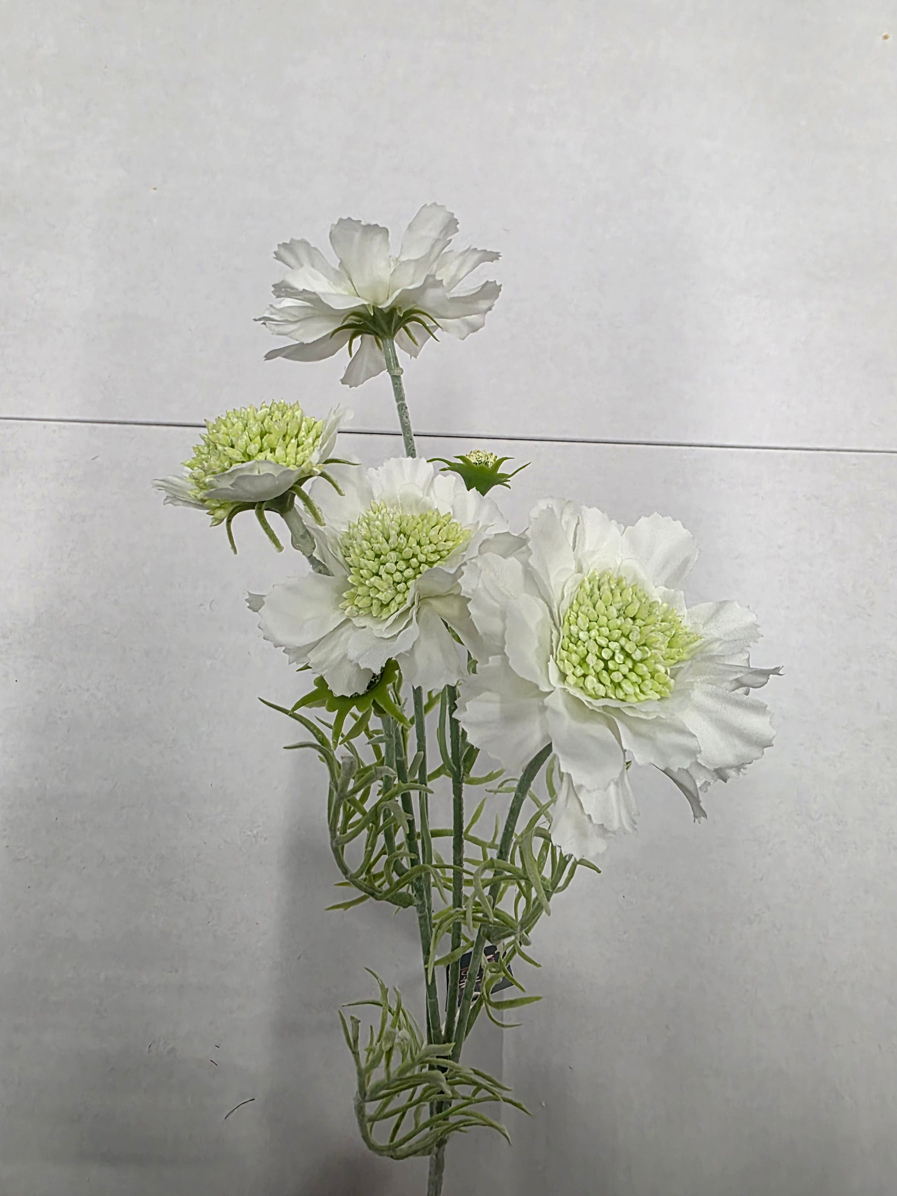 Artificial Scabiosa White 60cm (Pack of 2)