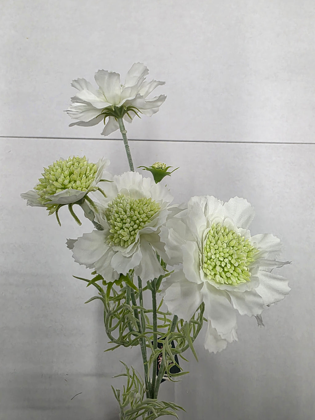 Artificial Scabiosa White 60cm (Pack of 2)