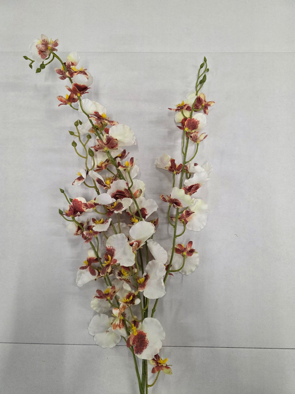 Artificial Onicidium White 78cm