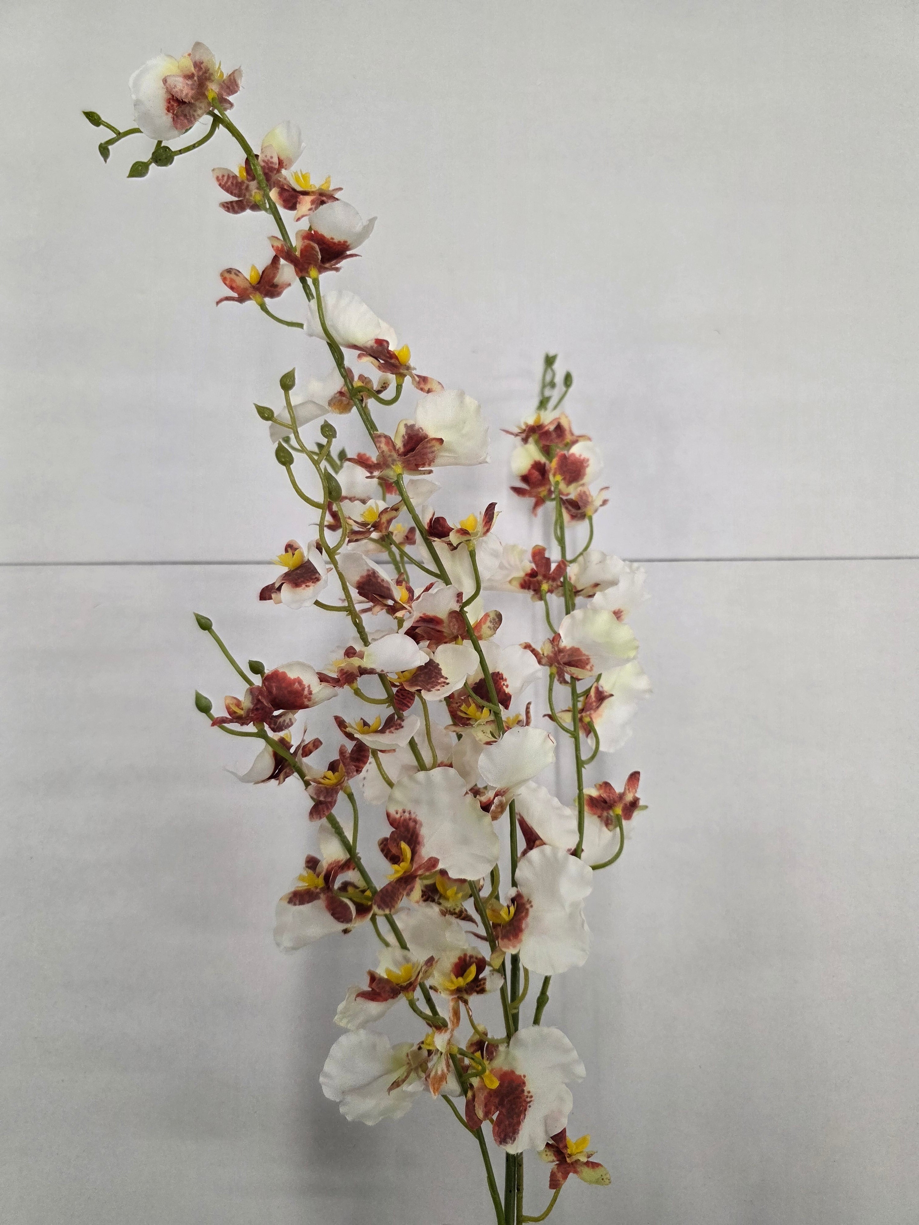 Artificial Onicidium White 78cm