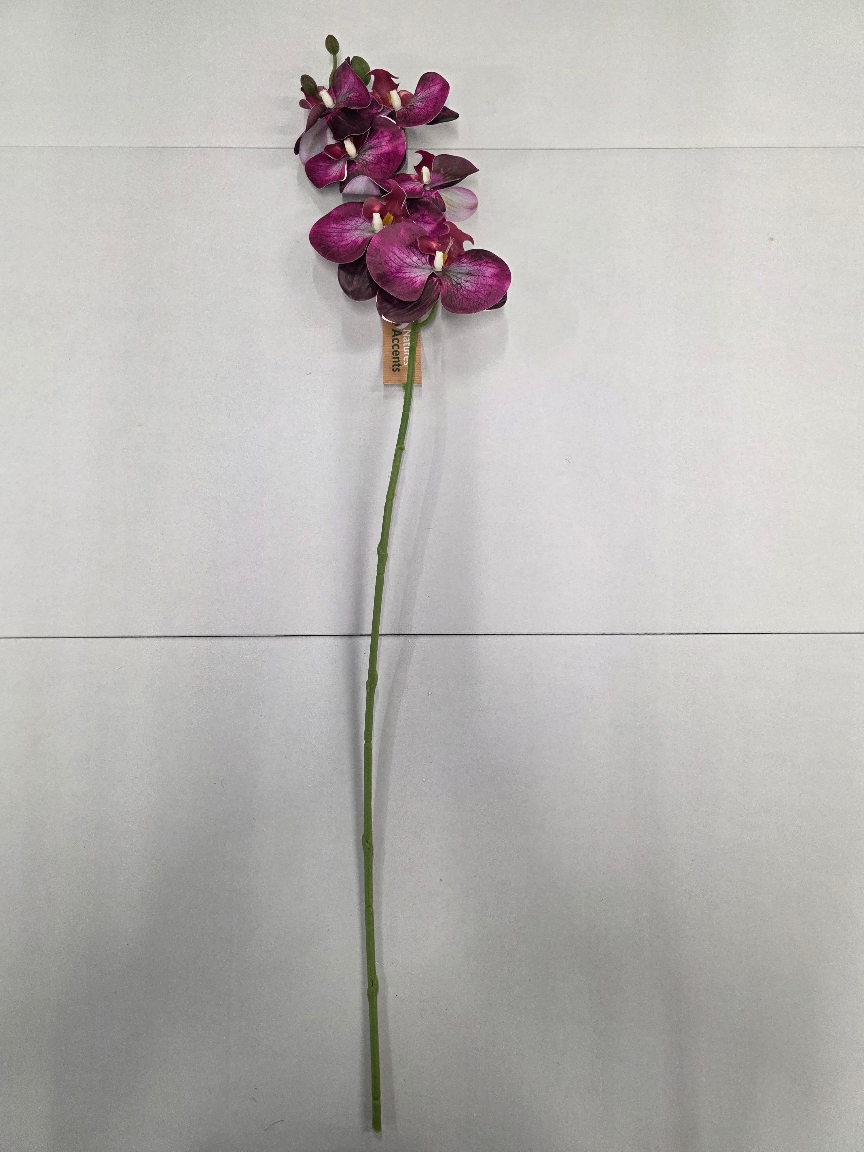 Artificial Phalaenopsis Fuchsia 80cm
