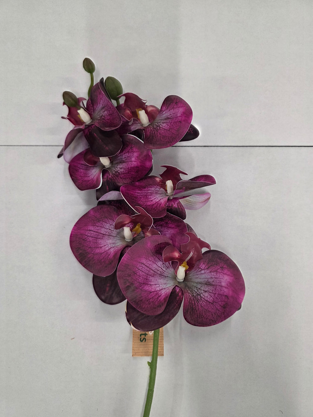 Artificial Phalaenopsis Fuchsia 80cm