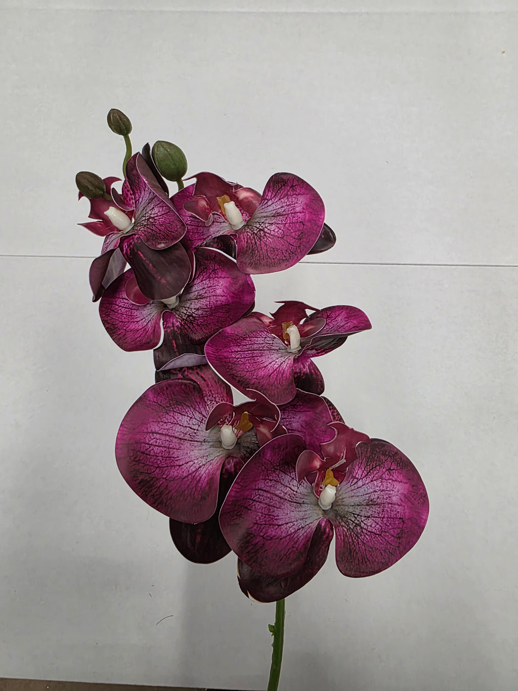 Artificial Phalaenopsis Fuchsia 80cm