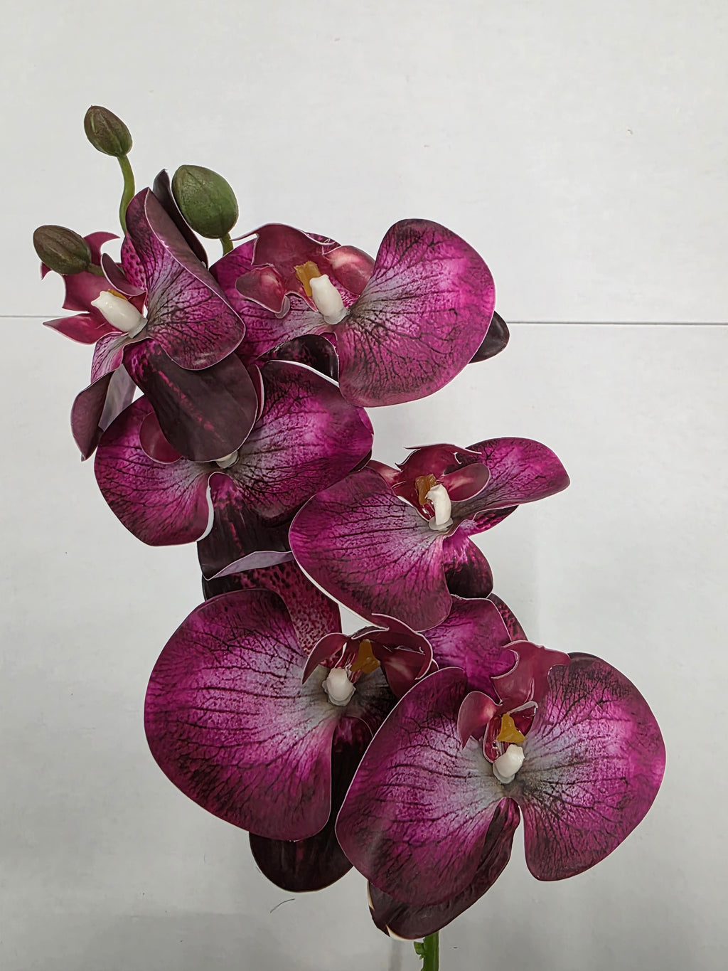 Artificial Phalaenopsis Fuchsia 80cm