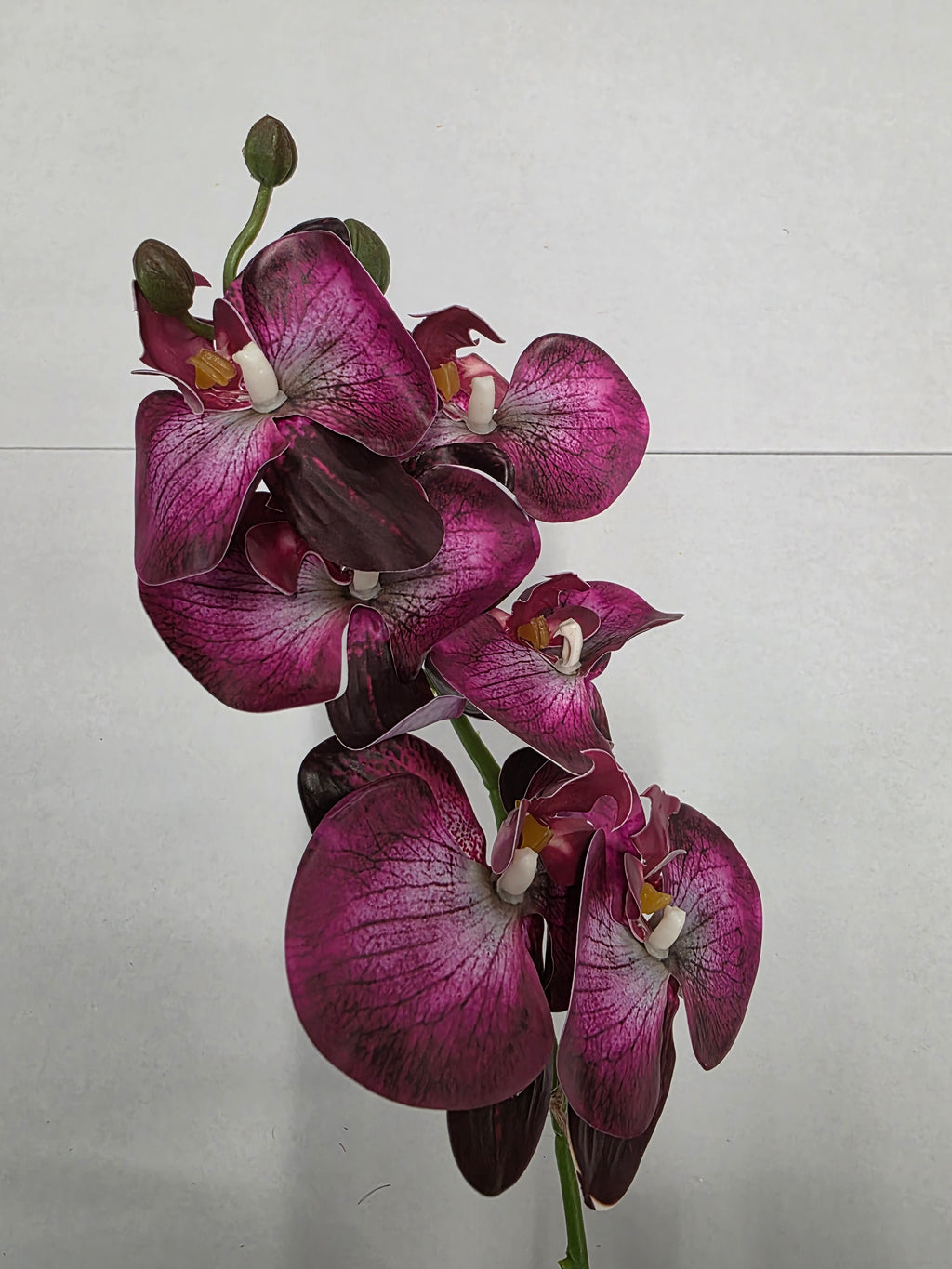 Artificial Phalaenopsis Fuchsia 80cm