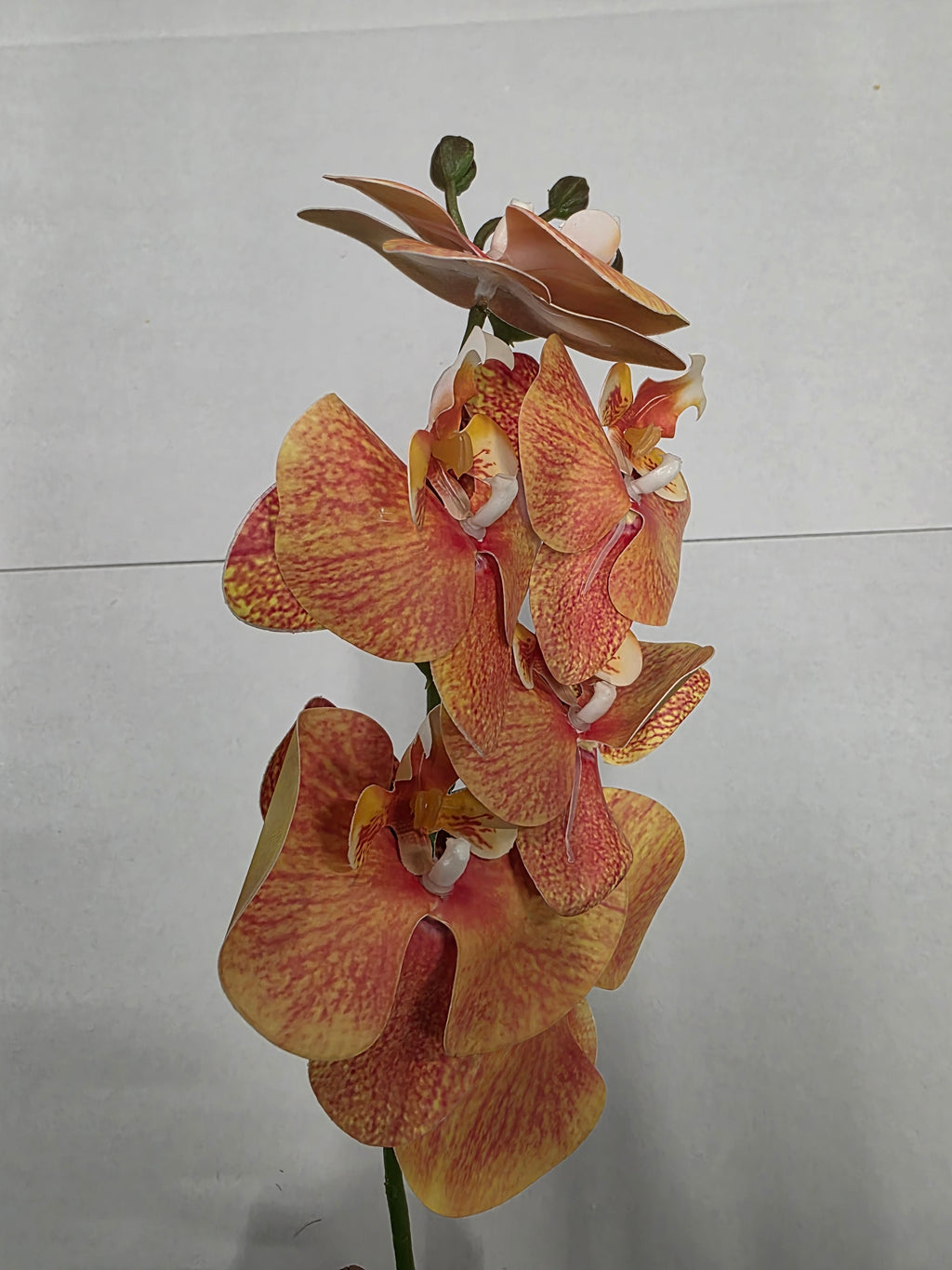 Artificial Phalaenopsis Orange 80cm