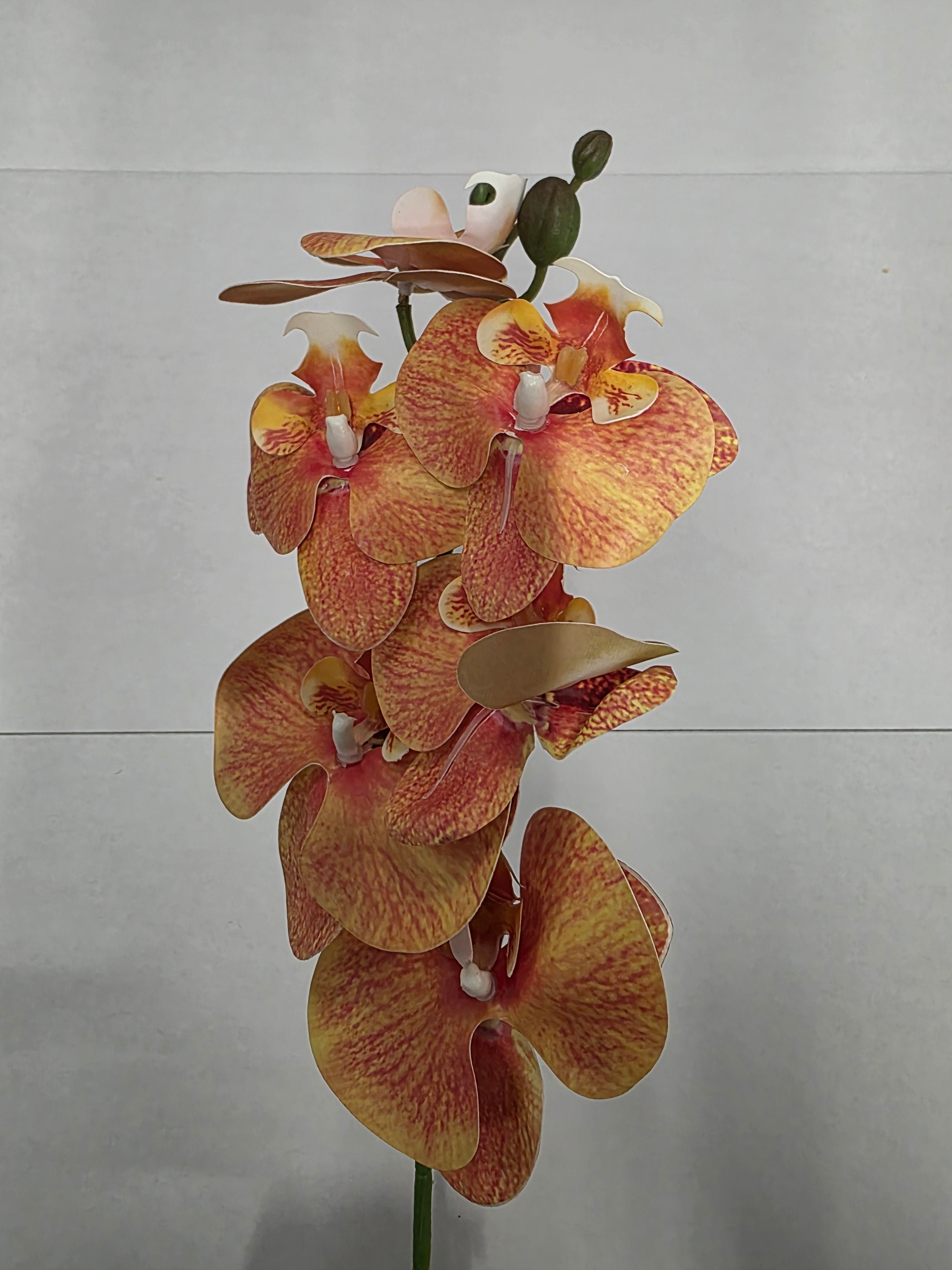 Artificial Phalaenopsis Orange 80cm