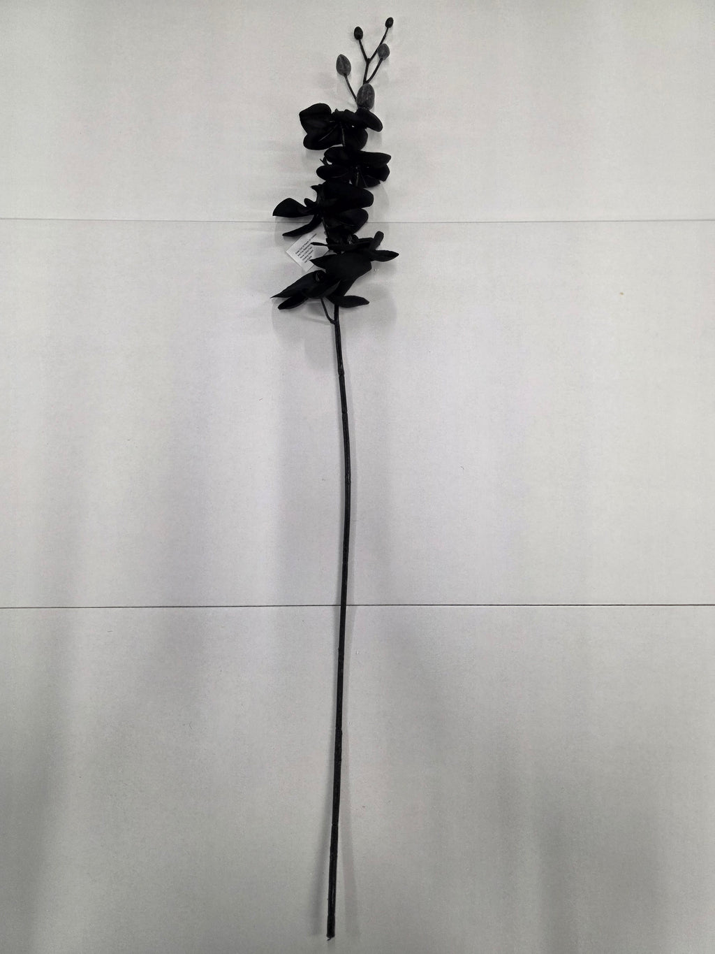 Artificial Silk Orchid Black (Pack of 2)