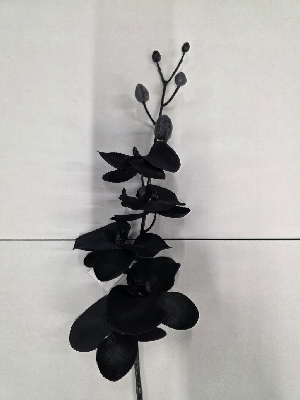 Artificial Silk Orchid Black (Pack of 2)