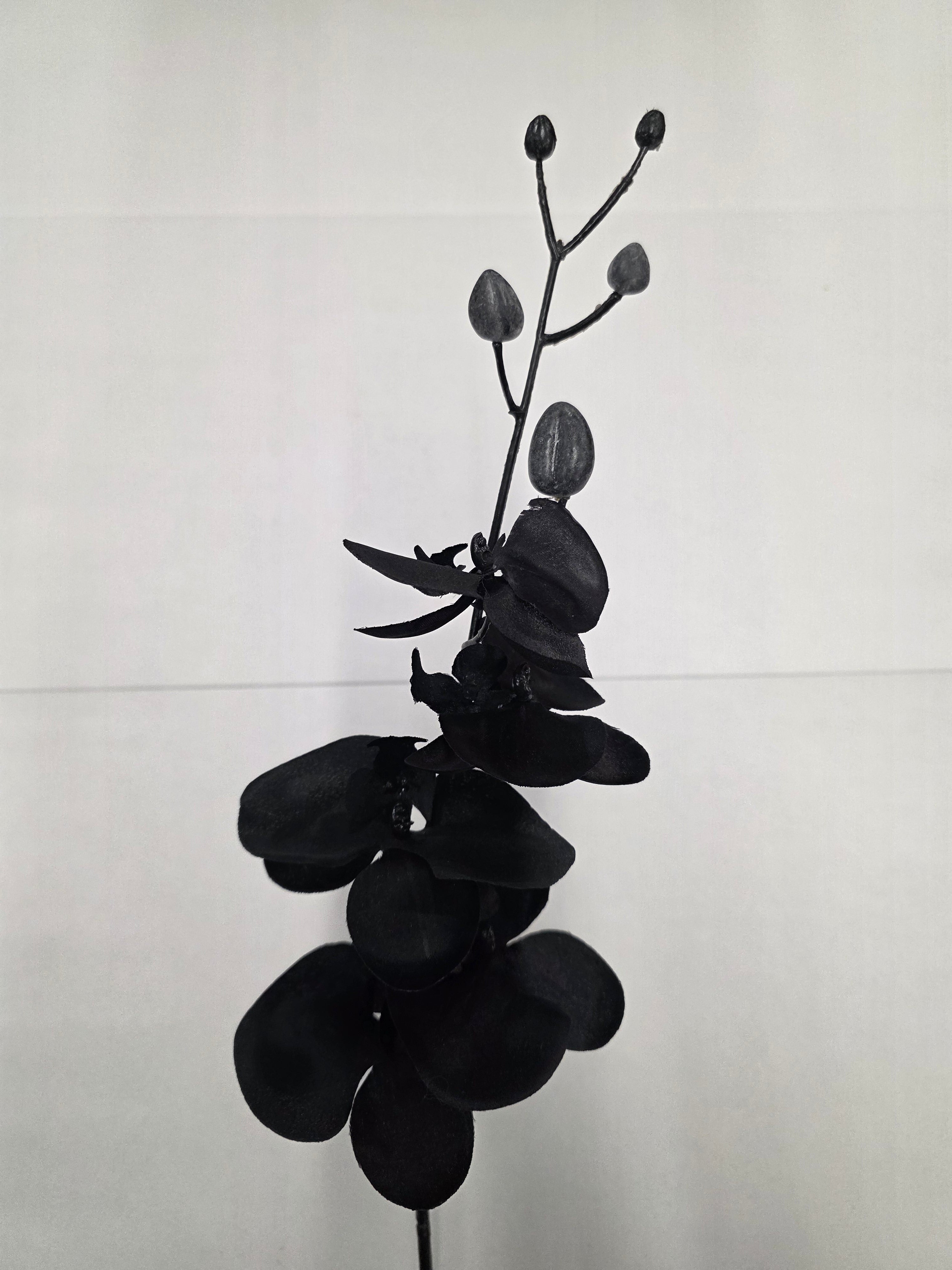 Artificial Silk Orchid Black (Pack of 2)