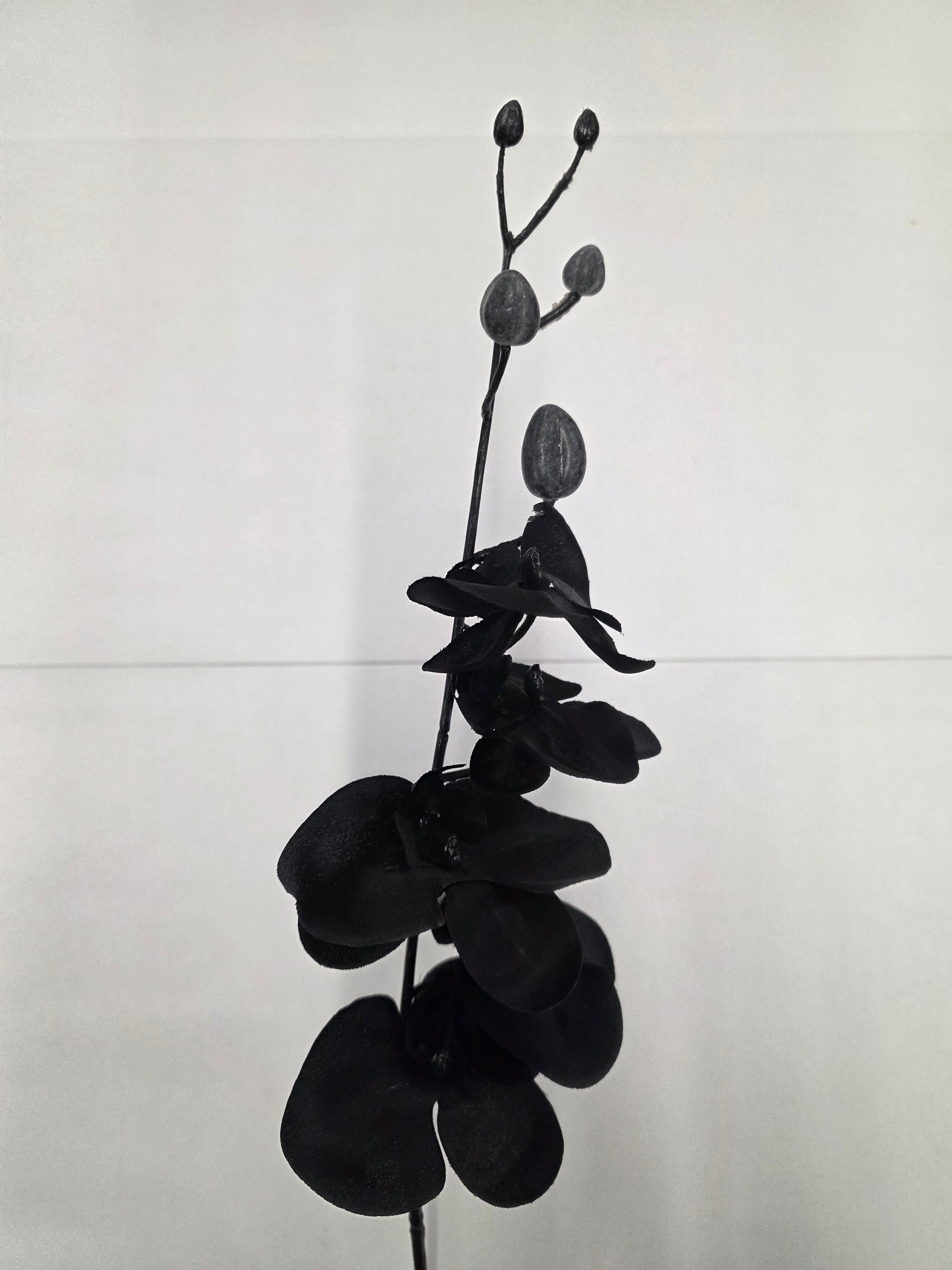 Artificial Silk Orchid Black (Pack of 2)