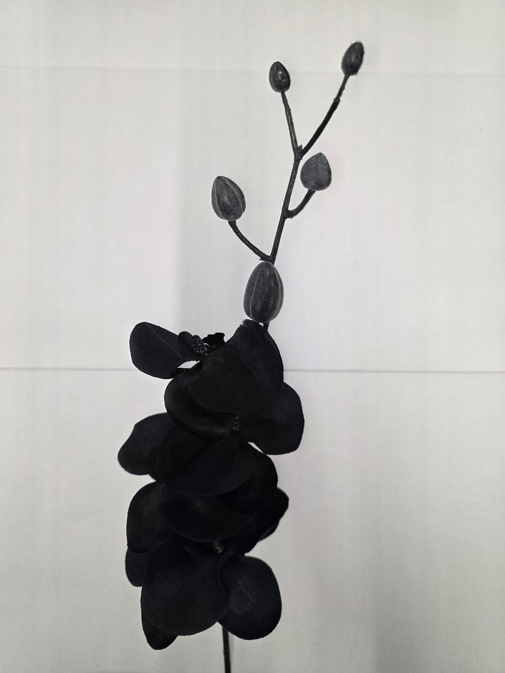 Artificial Silk Orchid Black (Pack of 2)