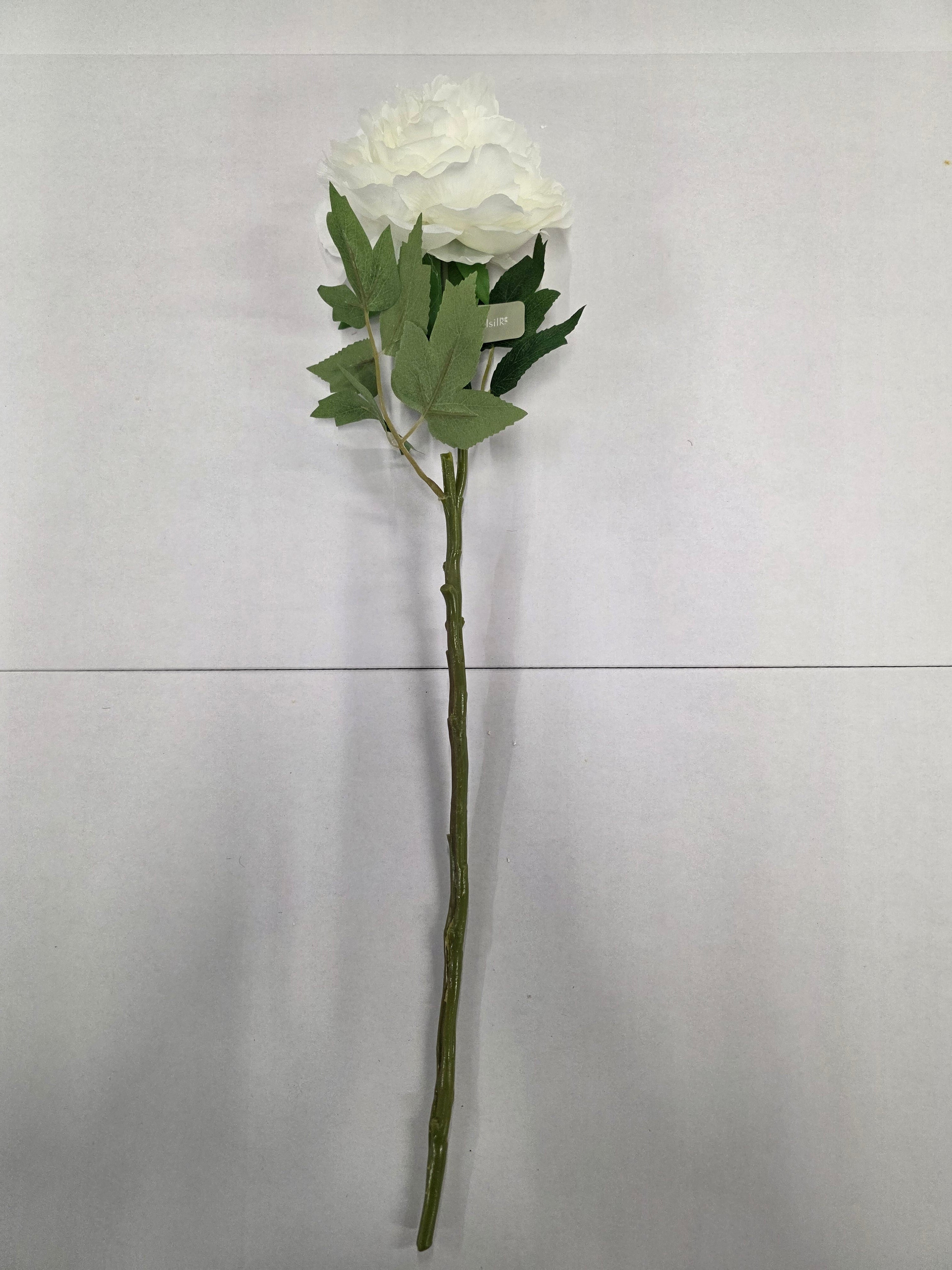 Artificial Blush Peony White 62cm