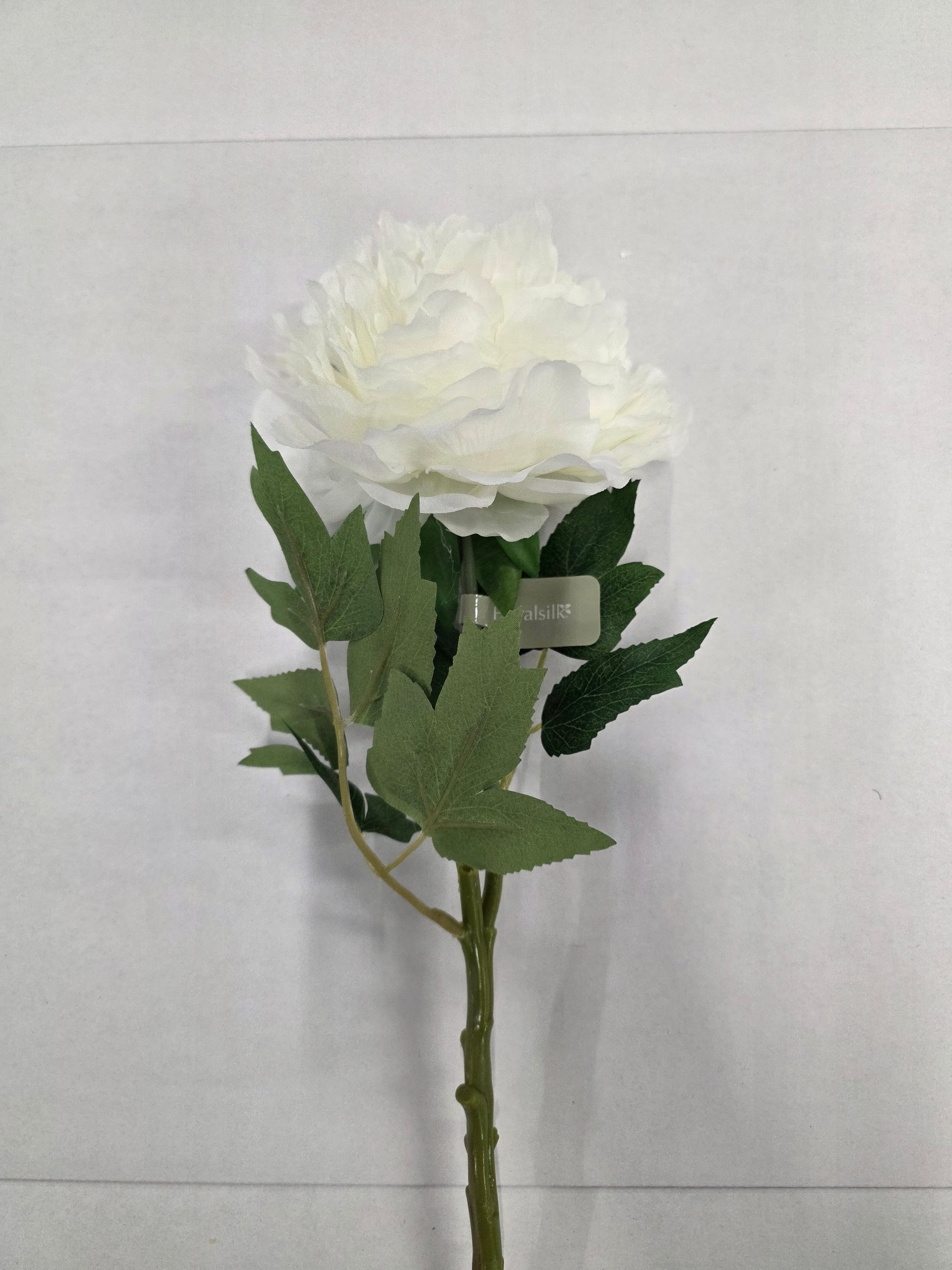 Artificial Blush Peony White 62cm