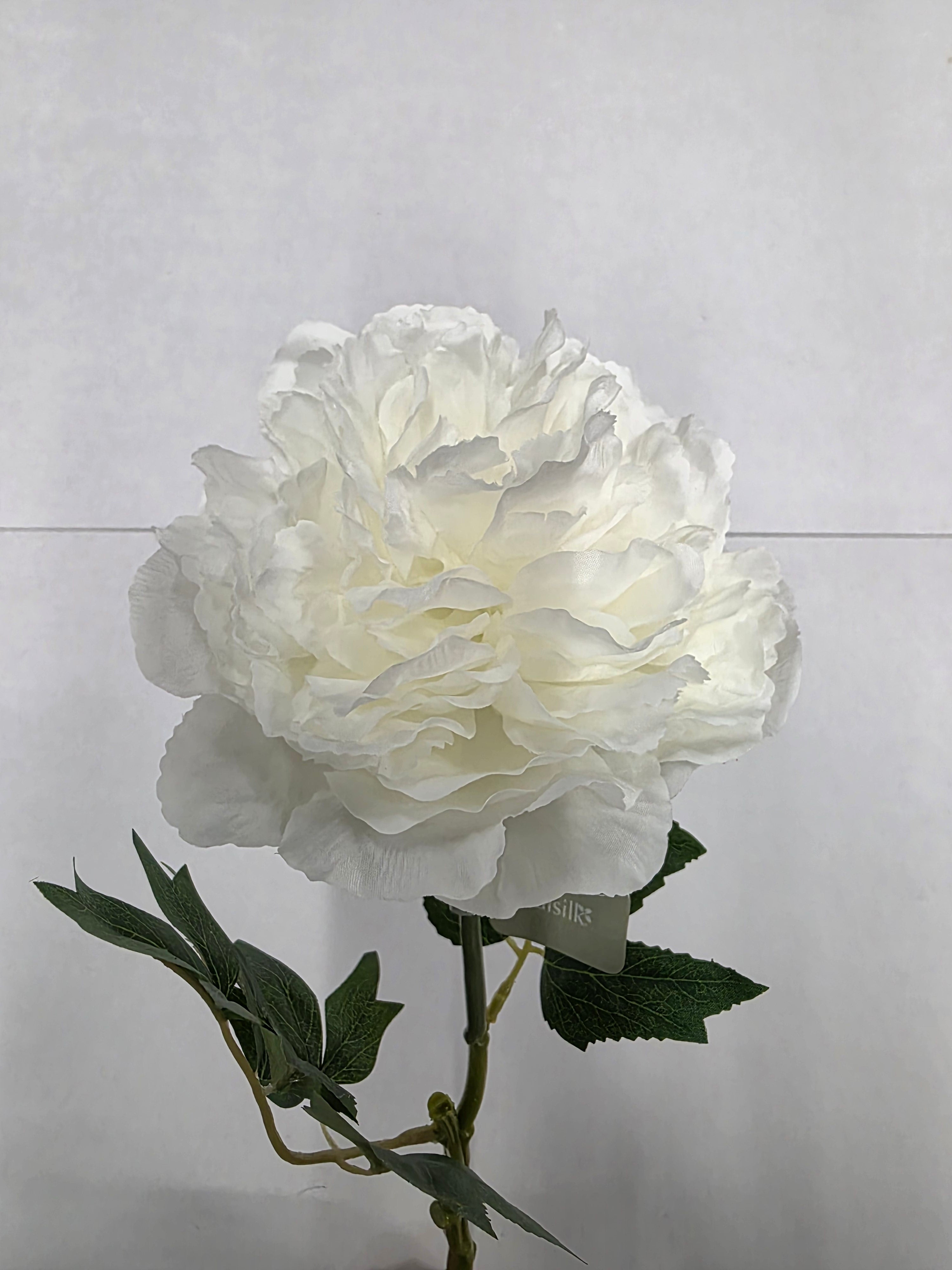 Artificial Blush Peony White 62cm