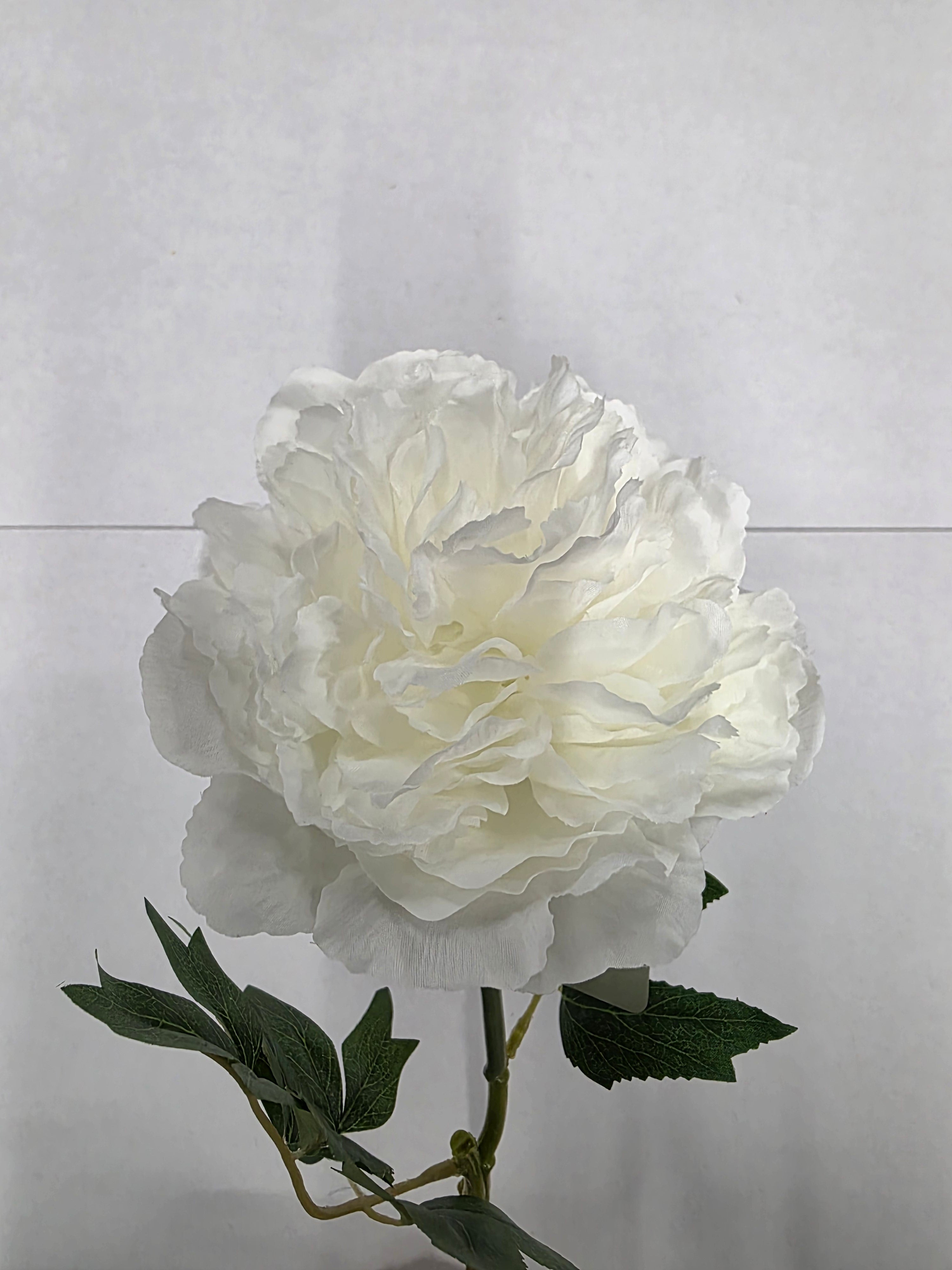 Artificial Blush Peony White 62cm