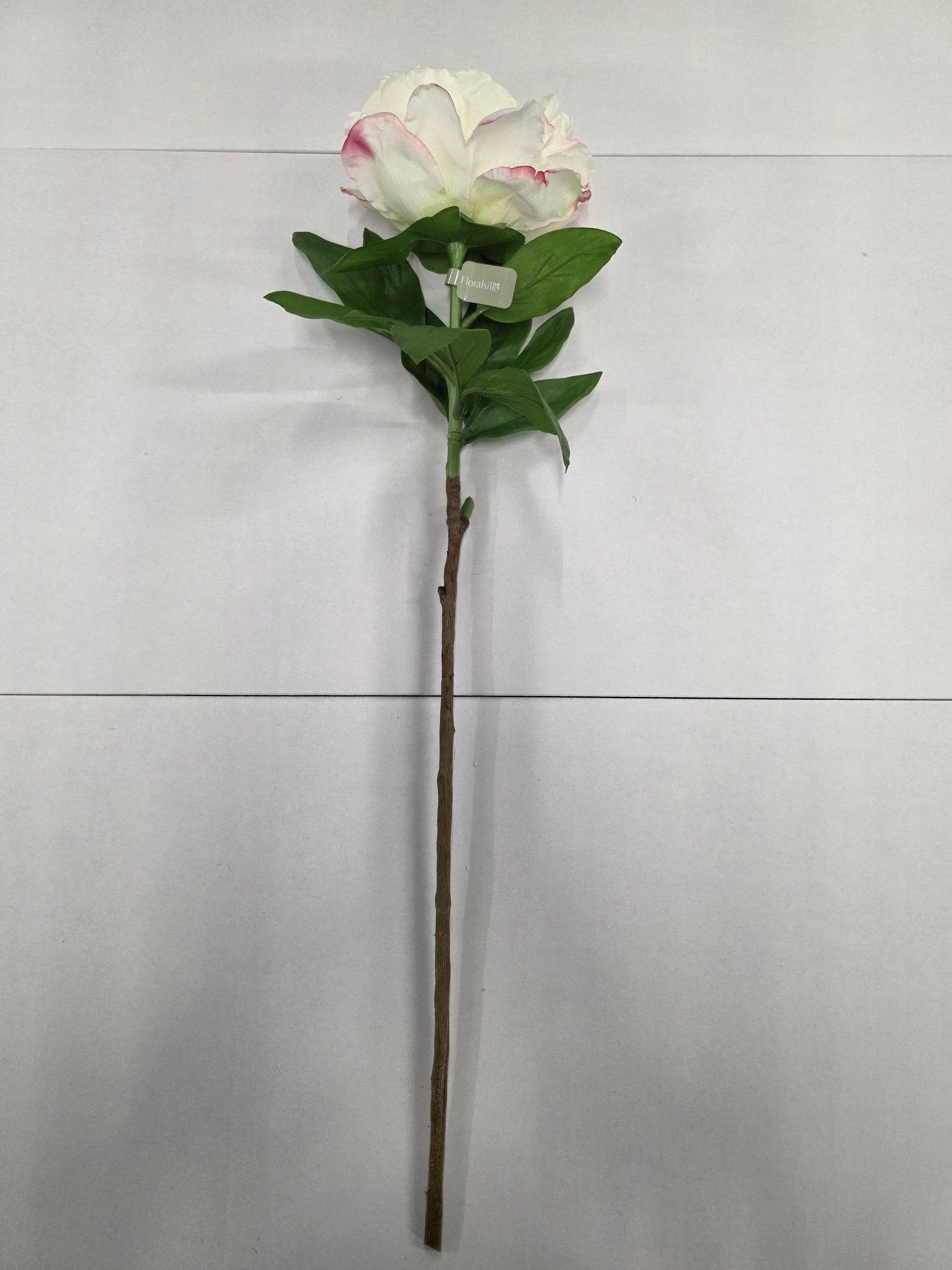 Artificial Garden Peony Cream Blush 70cm