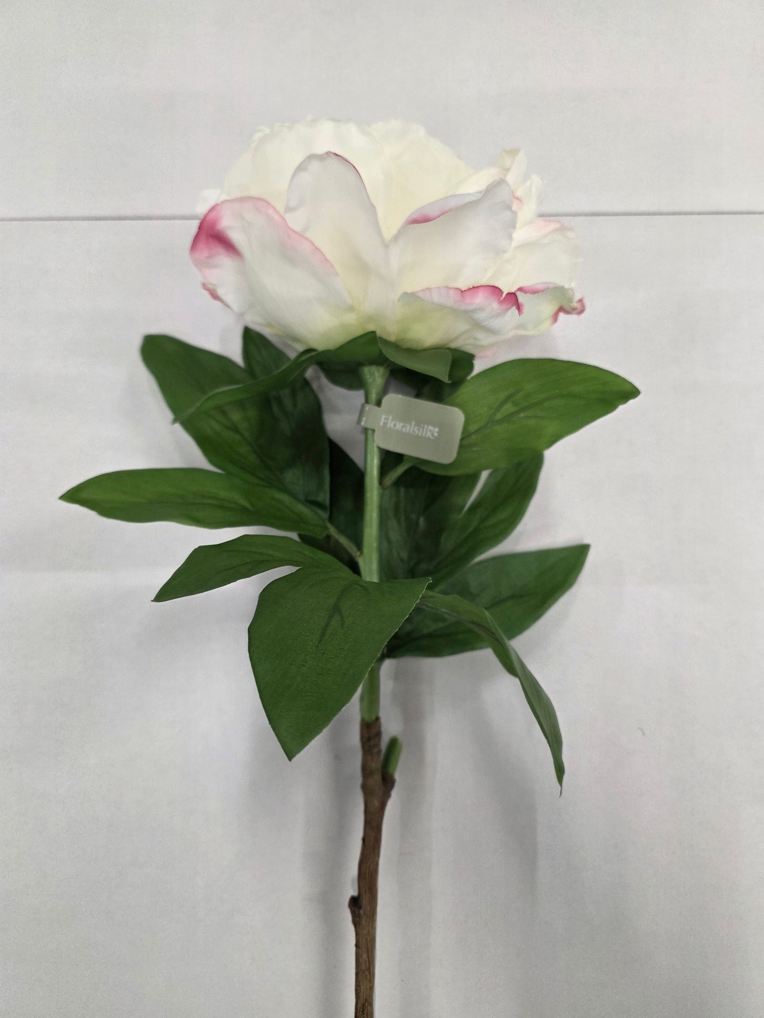 Artificial Garden Peony Cream Blush 70cm