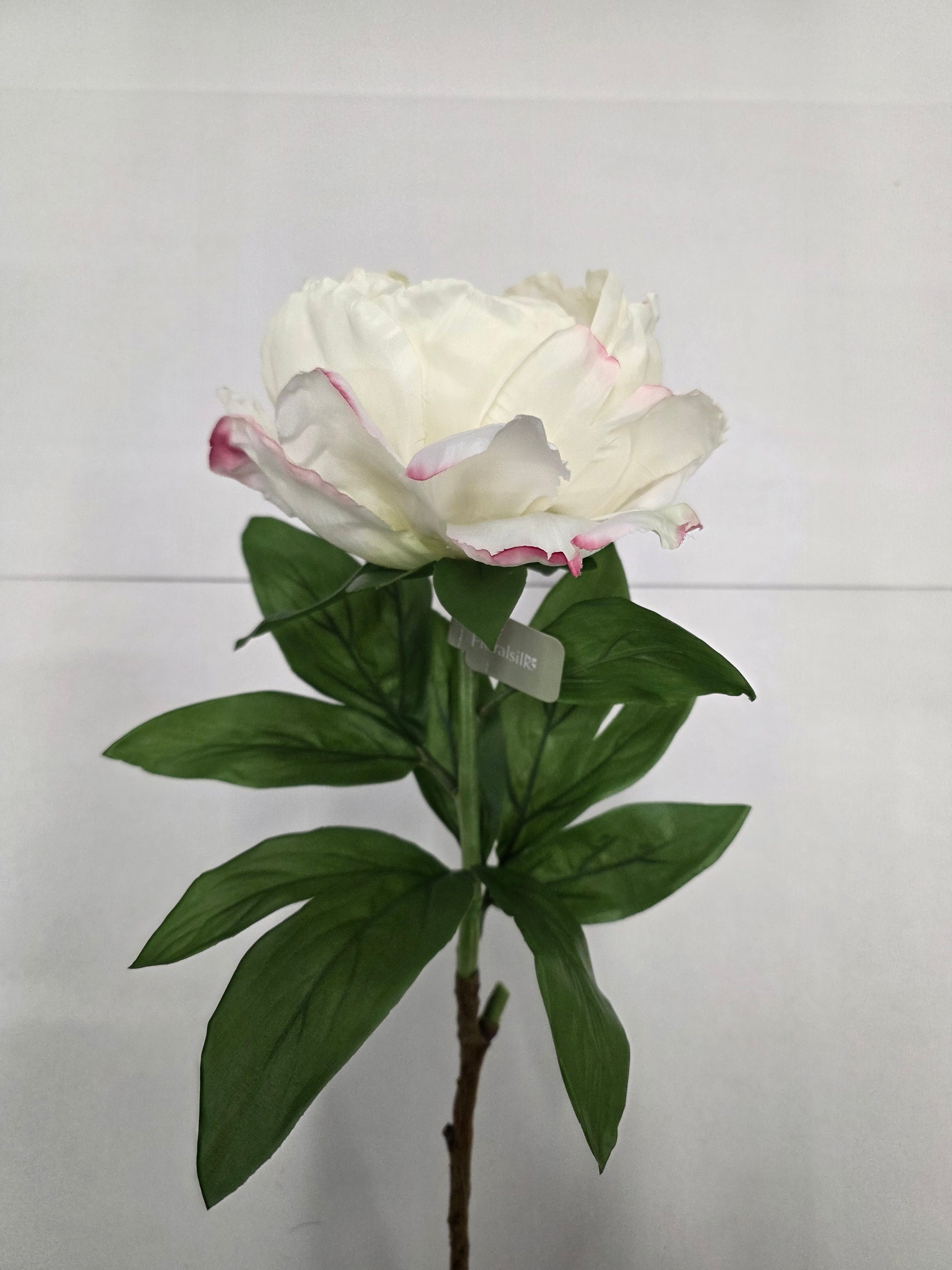 Artificial Garden Peony Cream Blush 70cm