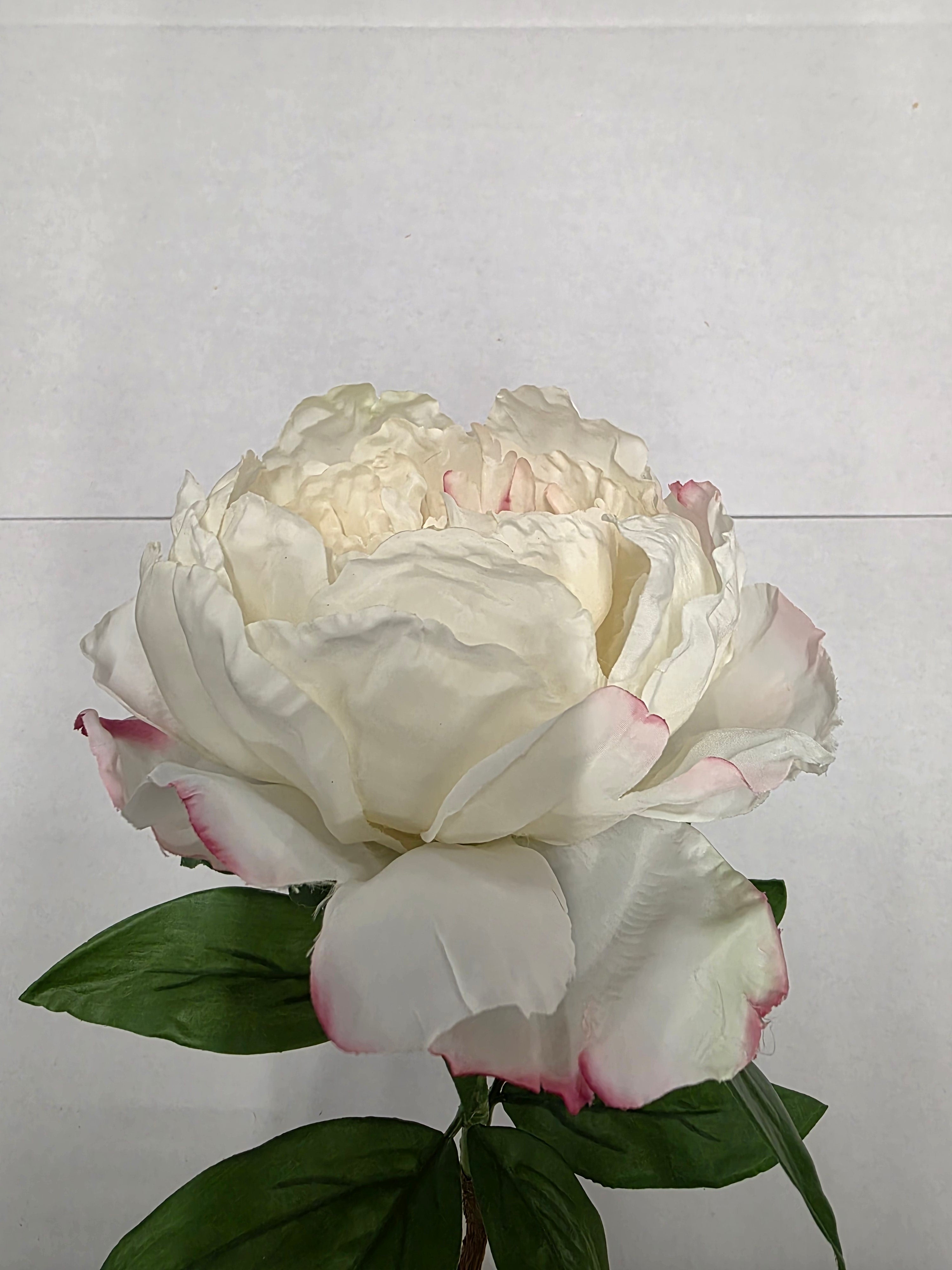 Artificial Garden Peony Cream Blush 70cm