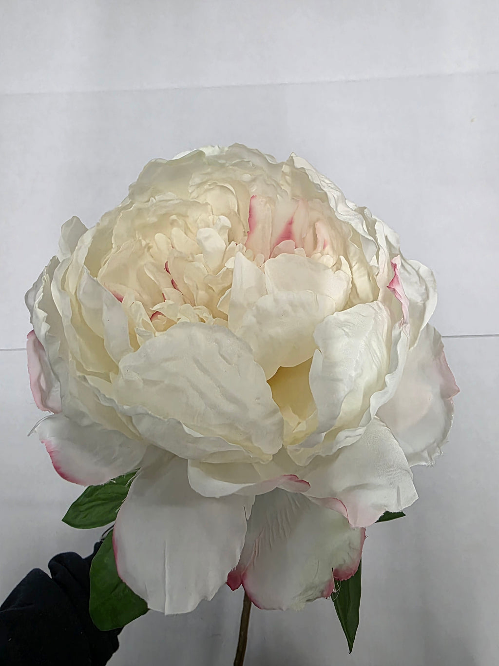 Artificial Garden Peony Cream Blush 70cm