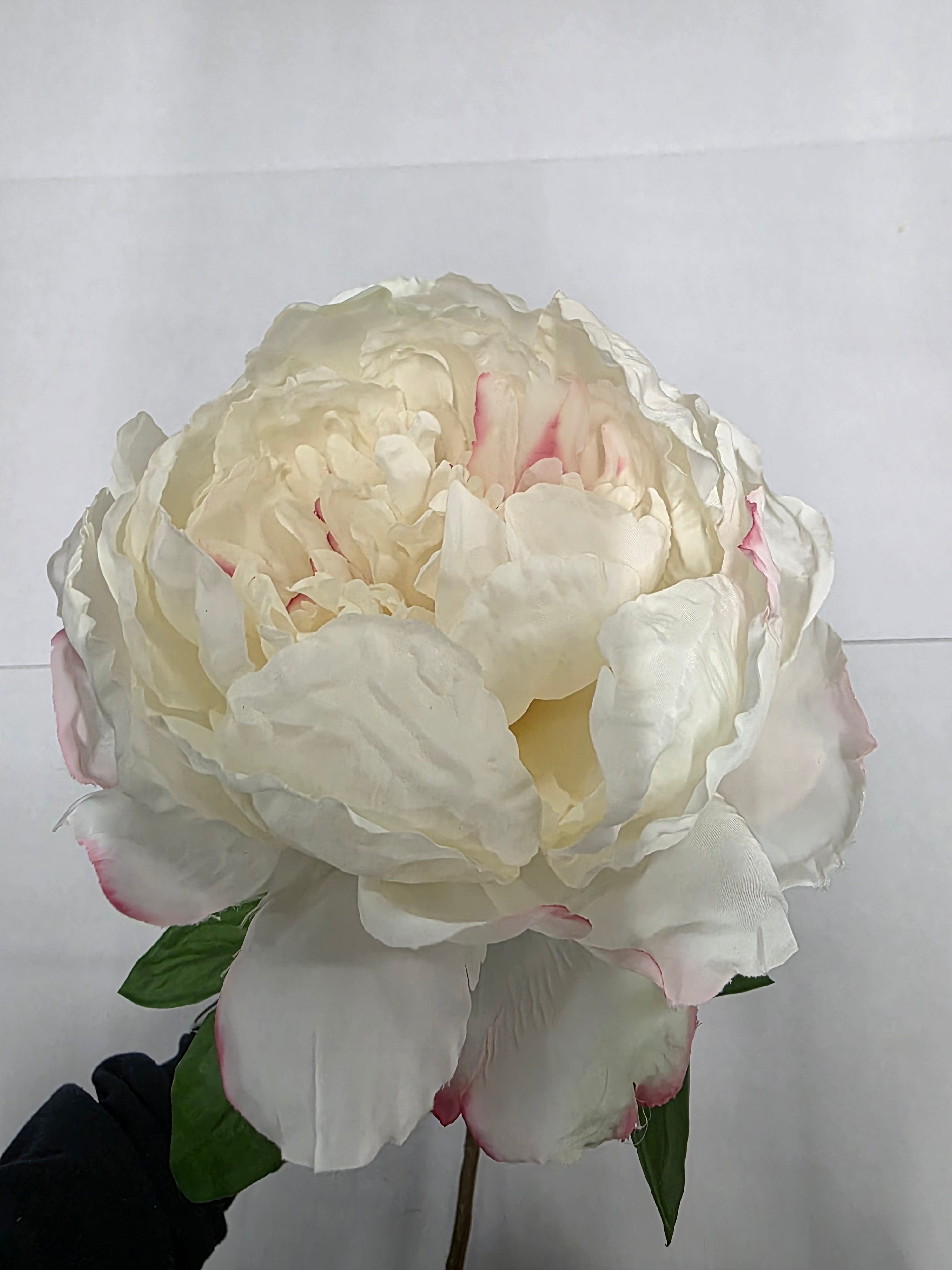 Artificial Garden Peony Cream Blush 70cm