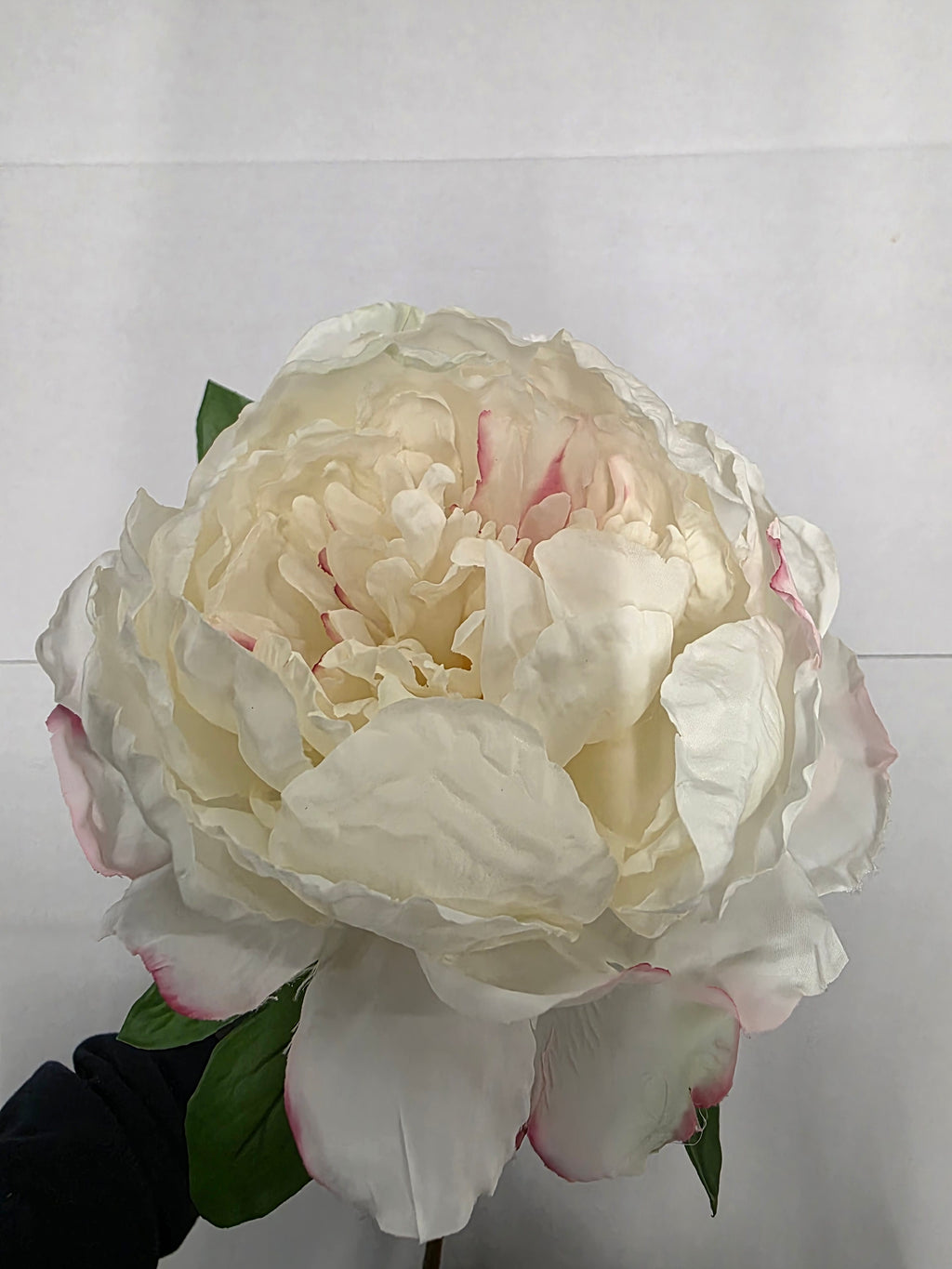 Artificial Garden Peony Cream Blush 70cm