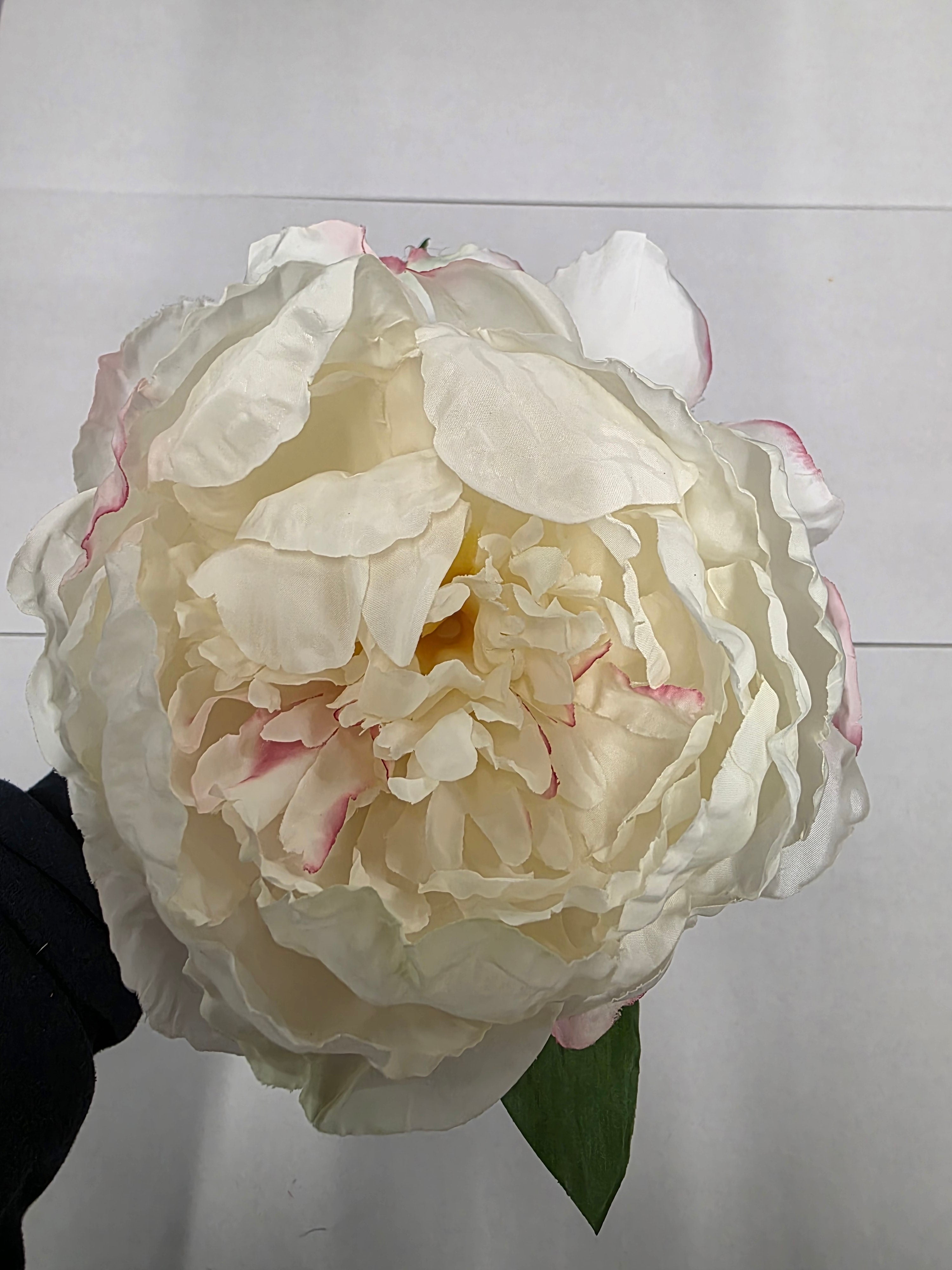 Artificial Garden Peony Cream Blush 70cm